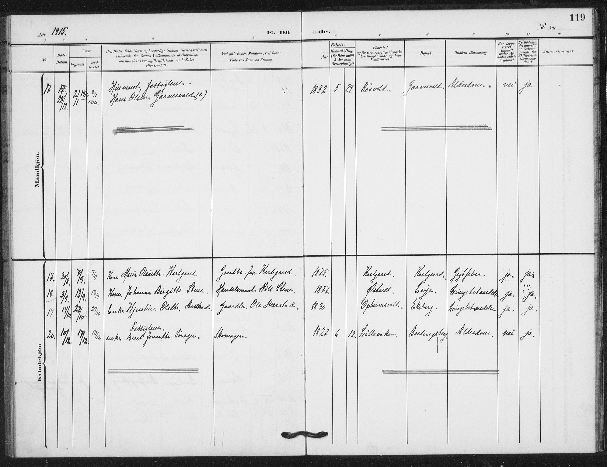 Ministerialprotokoller, klokkerbøker og fødselsregistre - Nord-Trøndelag, AV/SAT-A-1458/724/L0264: Parish register (official) no. 724A02, 1908-1915, p. 119