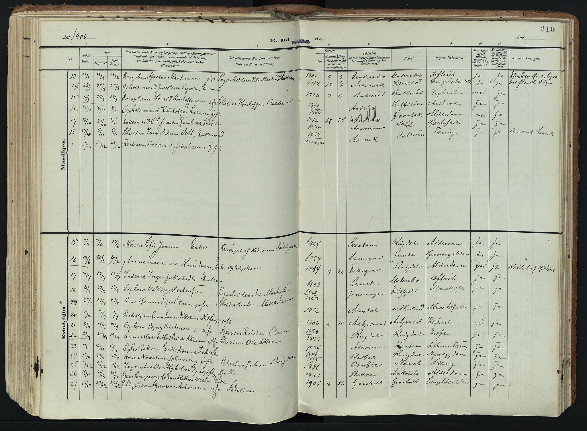 Hedrum kirkebøker, SAKO/A-344/F/Fa/L0010: Parish register (official) no. I 10, 1904-1918, p. 216