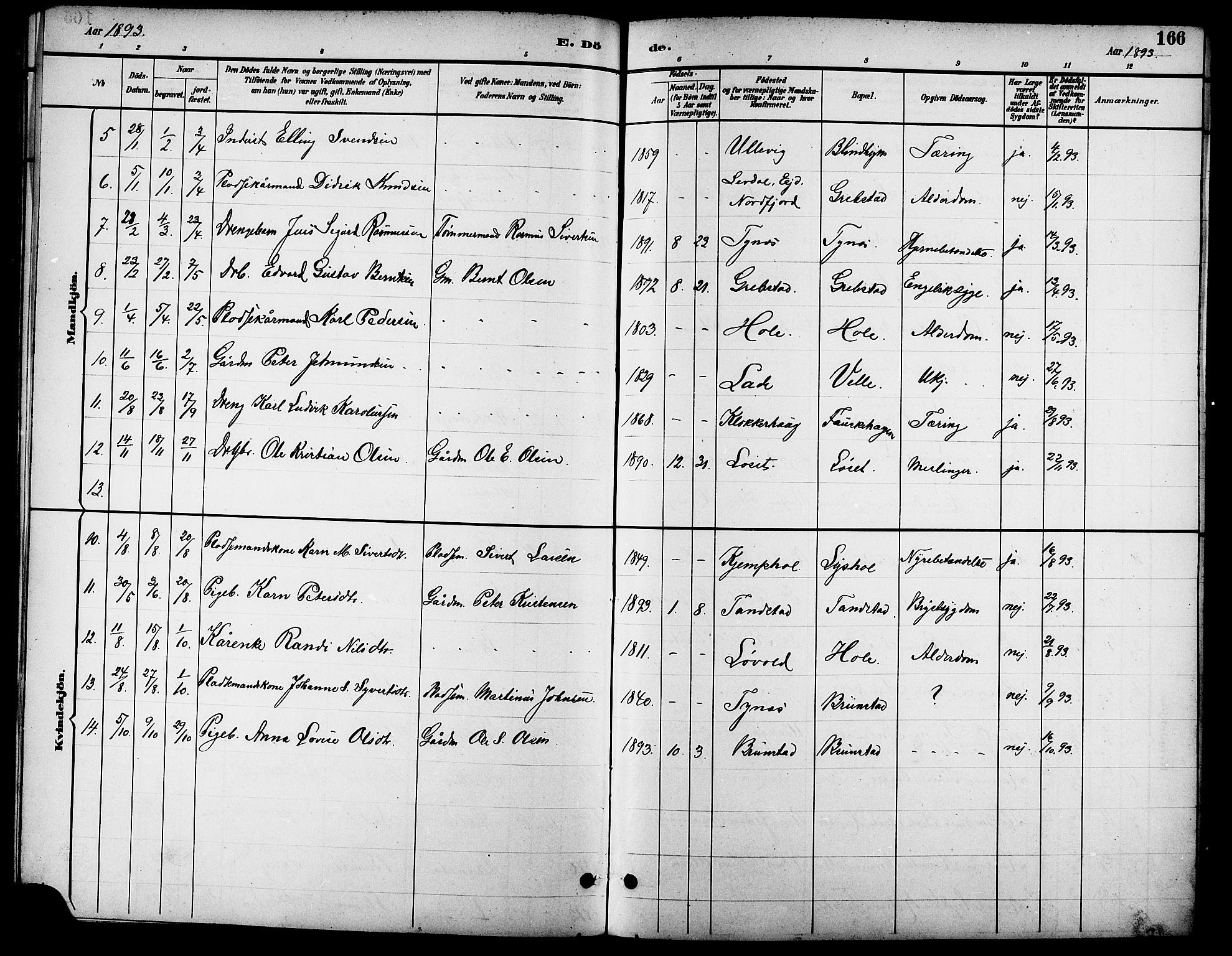 Ministerialprotokoller, klokkerbøker og fødselsregistre - Møre og Romsdal, AV/SAT-A-1454/523/L0340: Parish register (copy) no. 523C03, 1892-1902, p. 166