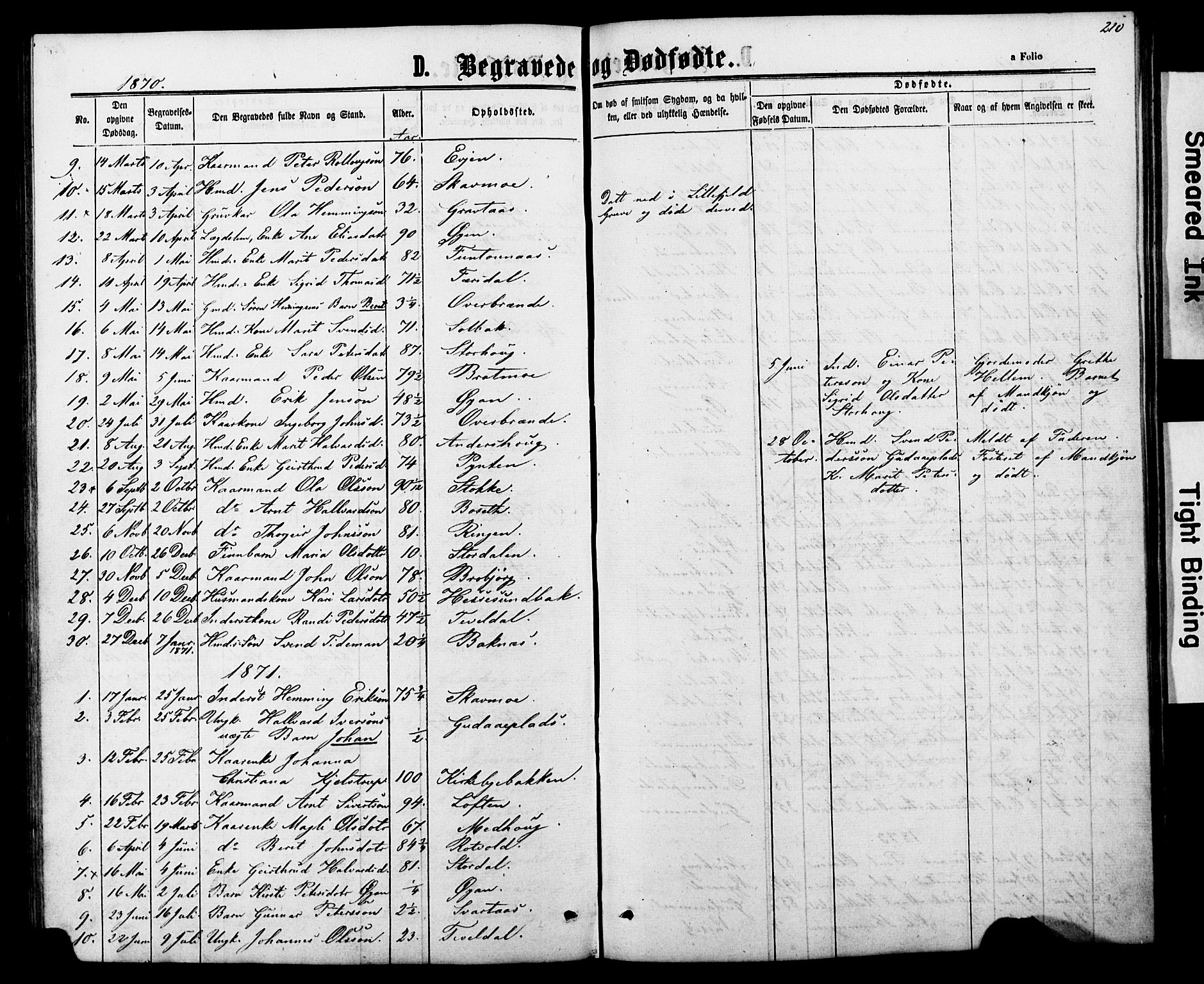 Ministerialprotokoller, klokkerbøker og fødselsregistre - Nord-Trøndelag, AV/SAT-A-1458/706/L0049: Parish register (copy) no. 706C01, 1864-1895, p. 210