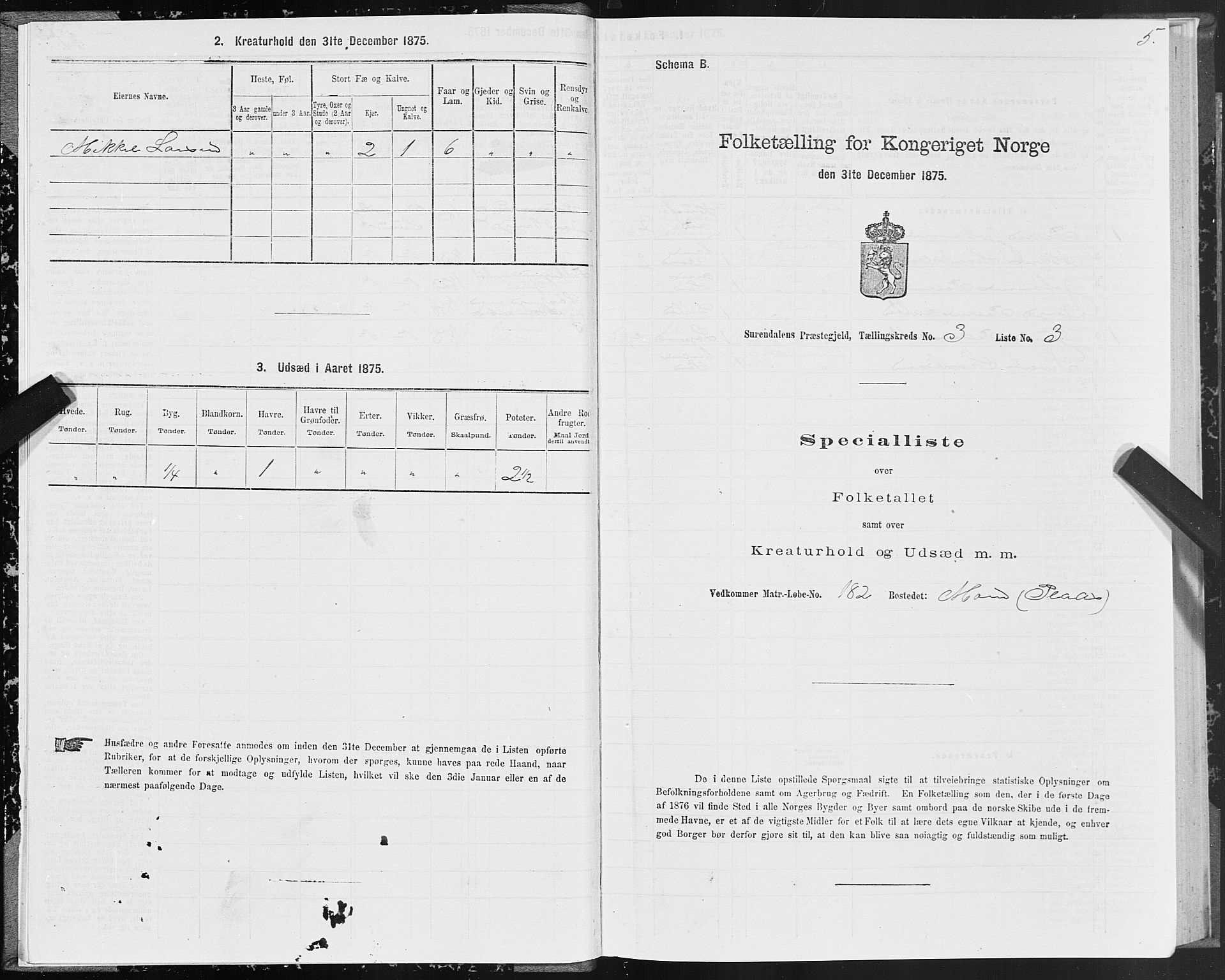 SAT, 1875 census for 1566P Surnadal, 1875, p. 2005