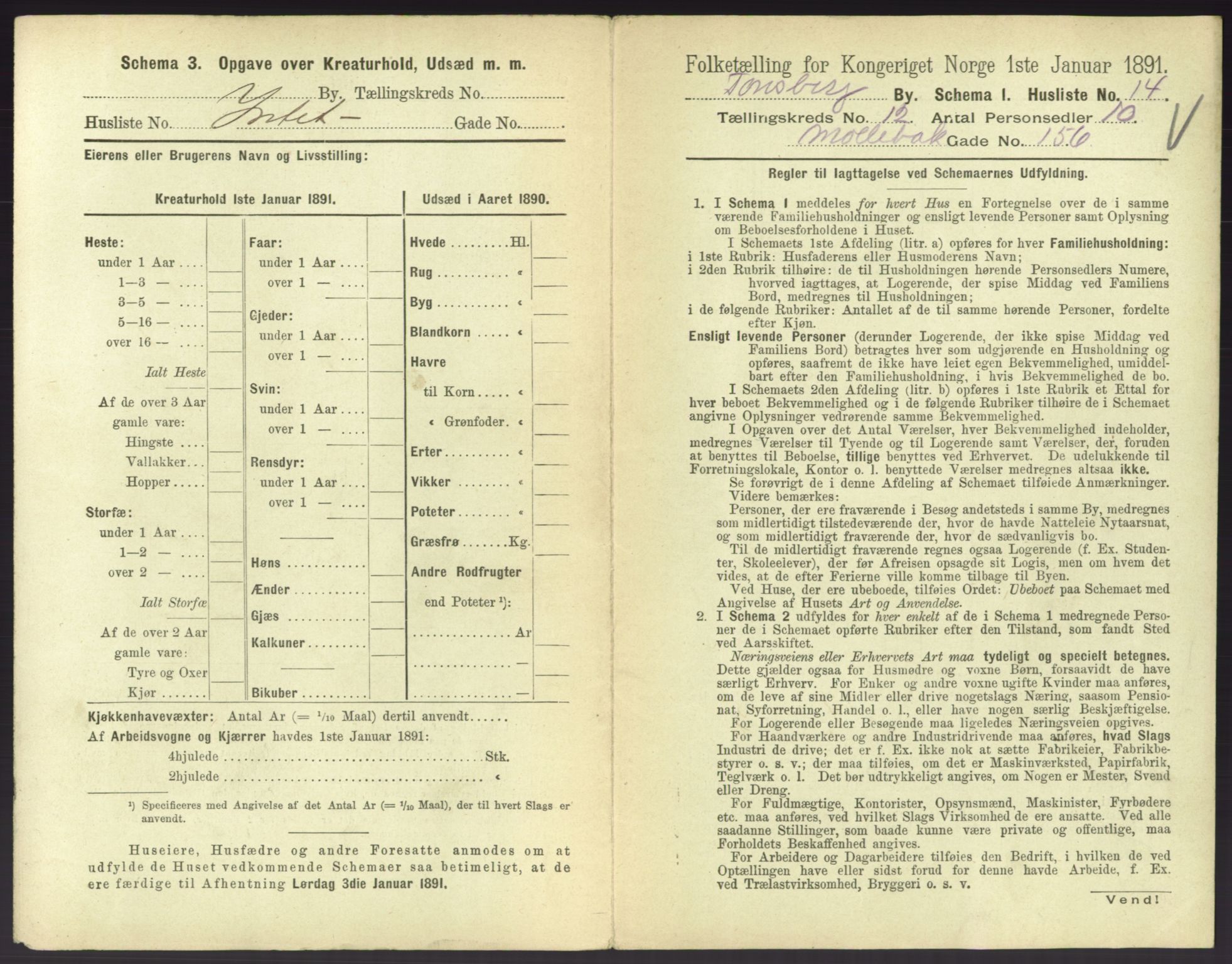 RA, 1891 census for 0705 Tønsberg, 1891, p. 484