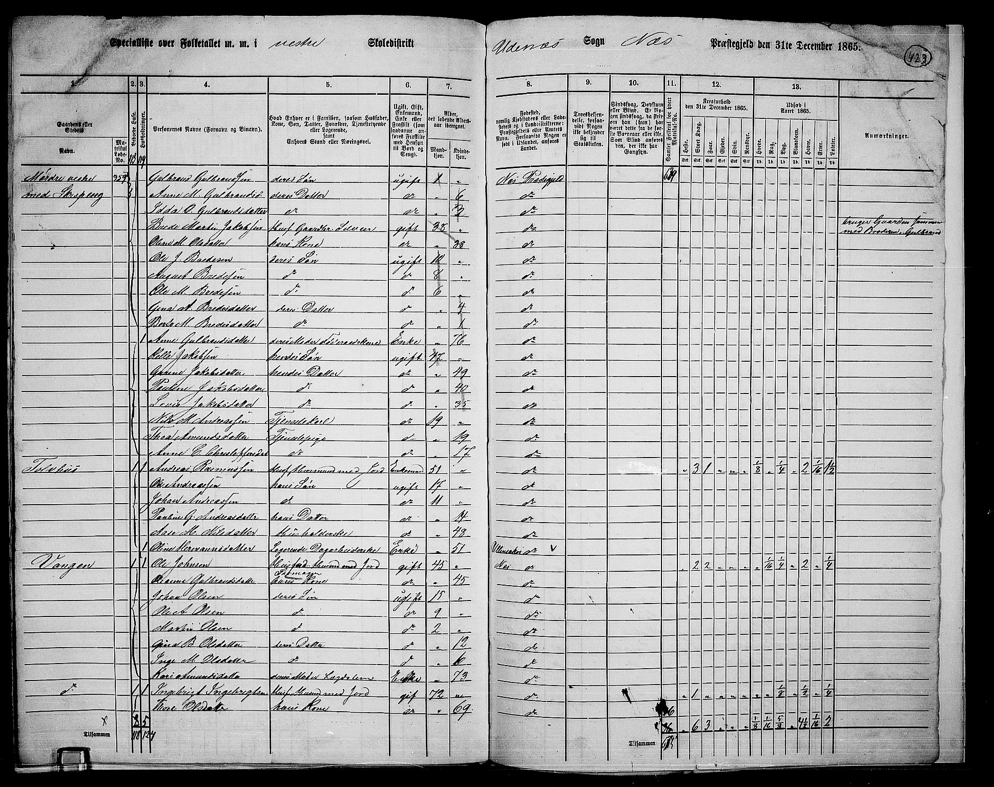 RA, 1865 census for Nes, 1865, p. 389