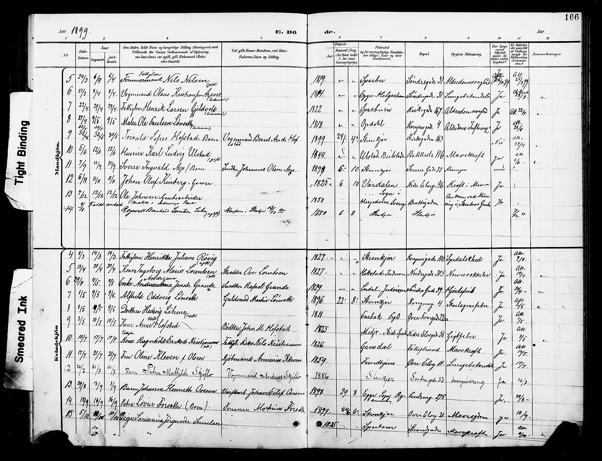 Ministerialprotokoller, klokkerbøker og fødselsregistre - Nord-Trøndelag, SAT/A-1458/739/L0375: Parish register (copy) no. 739C03, 1898-1908, p. 166