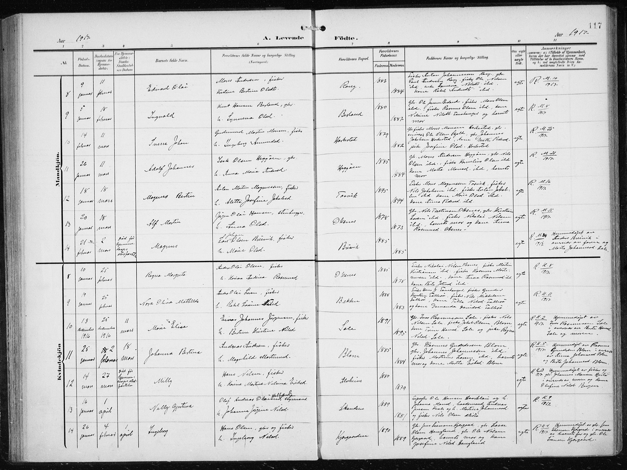 Herdla Sokneprestembete, SAB/A-75701/H/Haa: Parish register (official) no. A 5, 1905-1918, p. 117