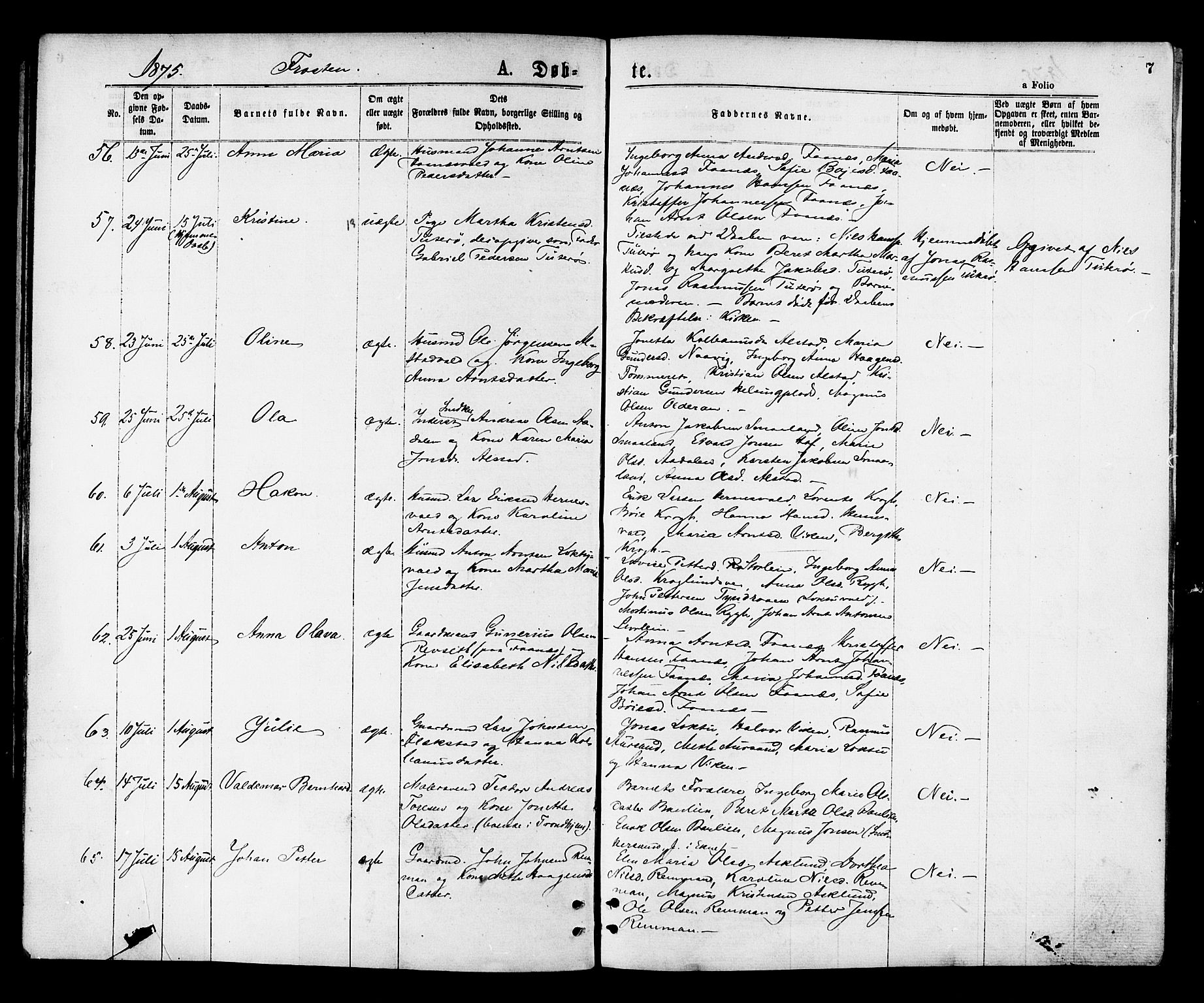 Ministerialprotokoller, klokkerbøker og fødselsregistre - Nord-Trøndelag, AV/SAT-A-1458/713/L0118: Parish register (official) no. 713A08 /1, 1875-1877, p. 7