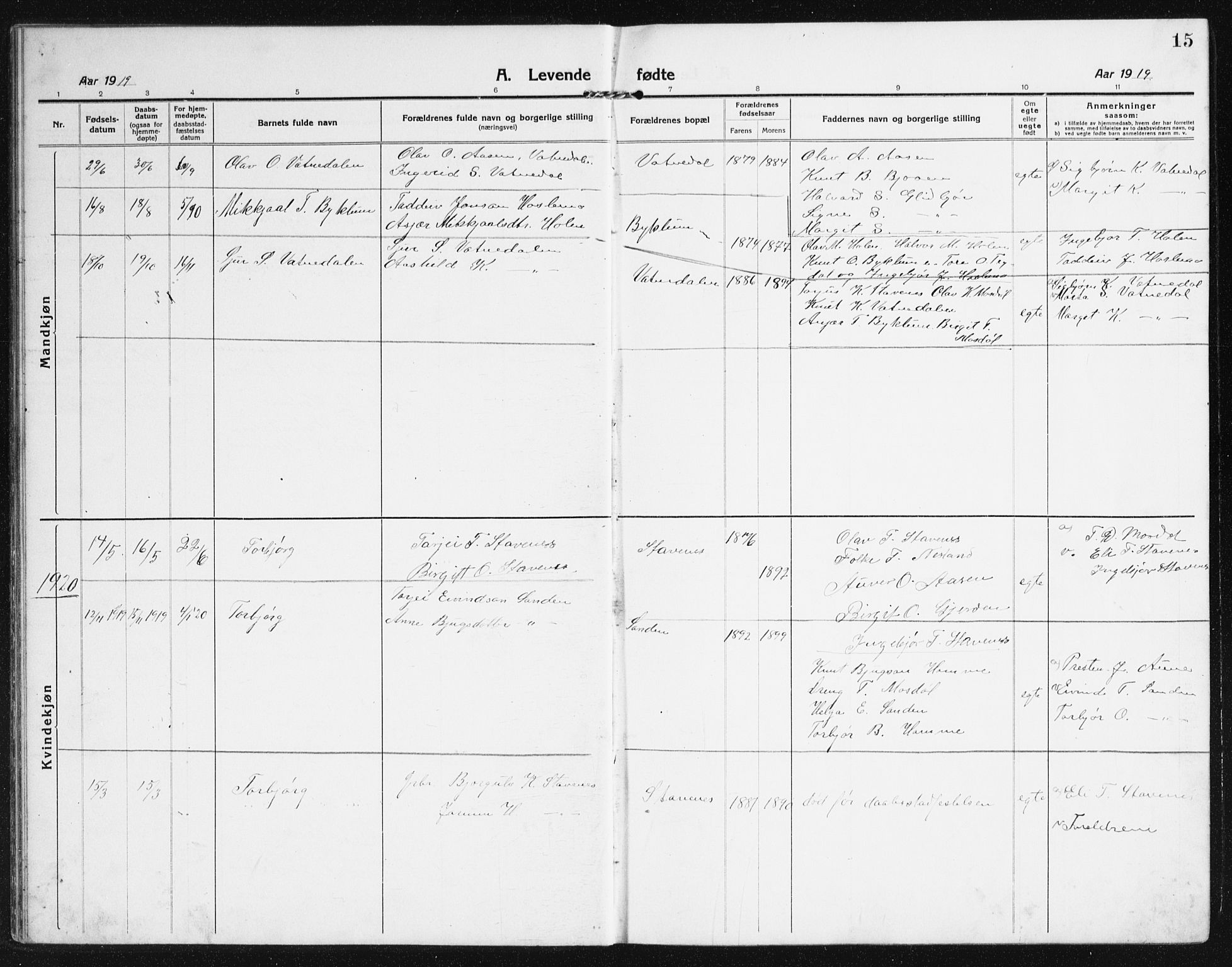 Valle sokneprestkontor, SAK/1111-0044/F/Fb/Fba/L0004: Parish register (copy) no. B 4, 1917-1944, p. 15