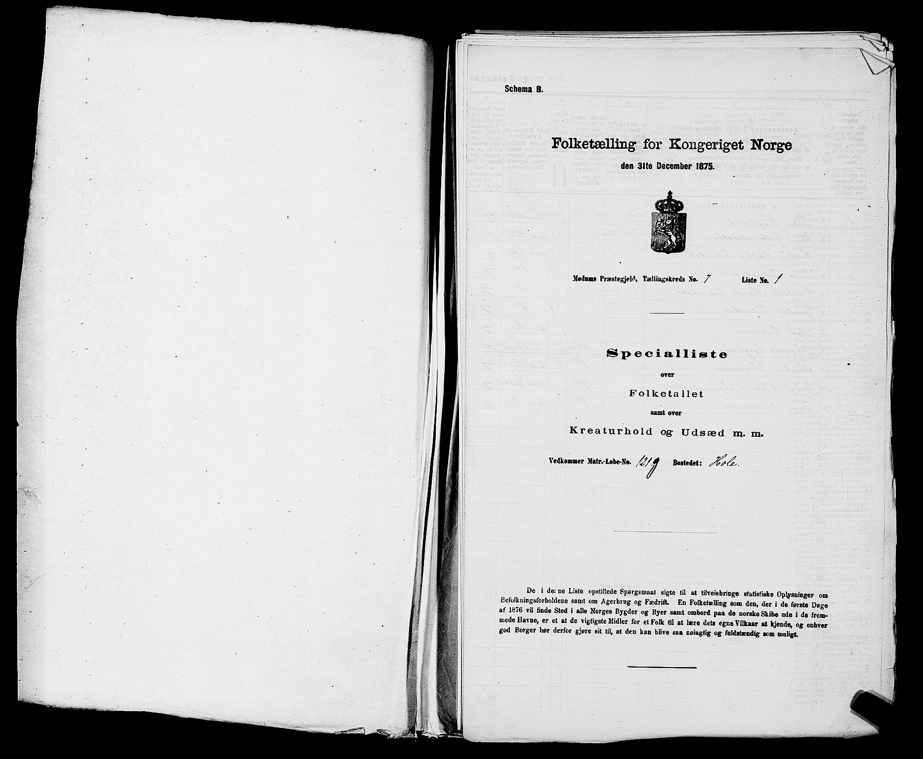 SAKO, 1875 census for 0623P Modum, 1875, p. 731