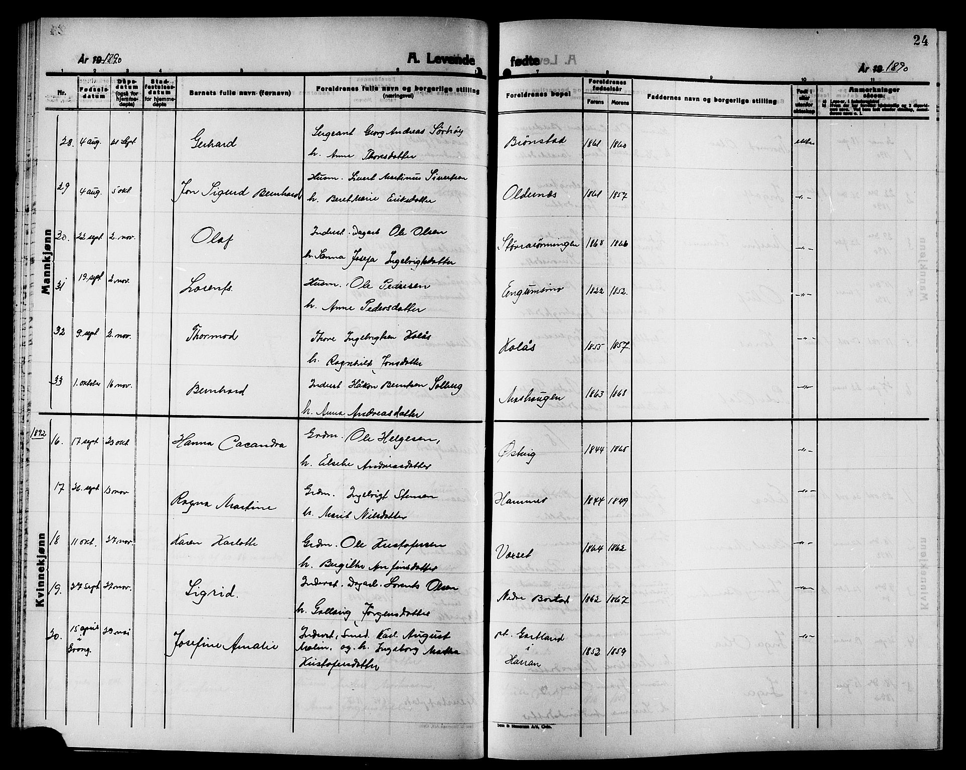 Ministerialprotokoller, klokkerbøker og fødselsregistre - Nord-Trøndelag, SAT/A-1458/749/L0487: Parish register (official) no. 749D03, 1887-1902, p. 24