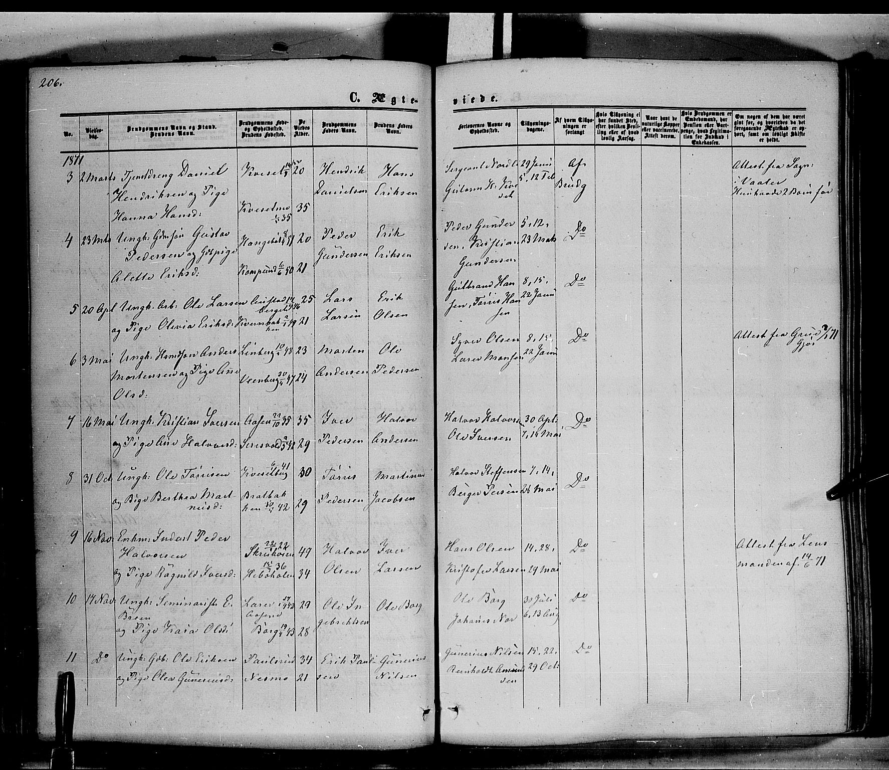 Hof prestekontor, SAH/PREST-038/H/Ha/Haa/L0009: Parish register (official) no. 9, 1862-1877, p. 206