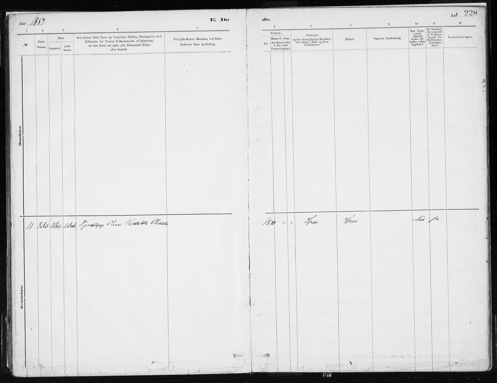 Askvoll sokneprestembete, SAB/A-79501/H/Haa/Haab/L0002: Parish register (official) no. B 2, 1879-1909, p. 228