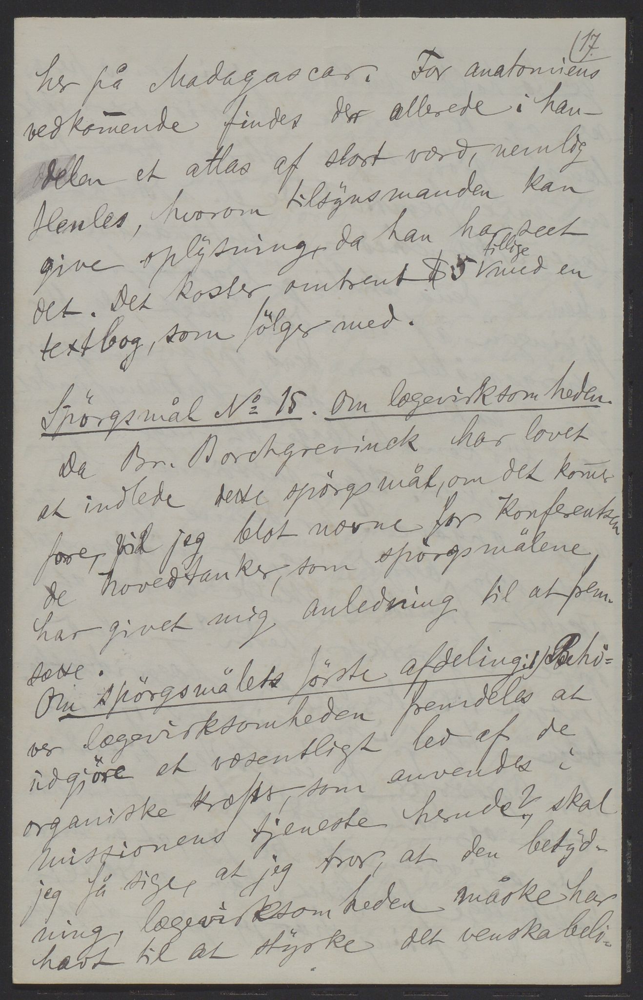 Det Norske Misjonsselskap - hovedadministrasjonen, VID/MA-A-1045/D/Da/Daa/L0036/0011: Konferansereferat og årsberetninger / Konferansereferat fra Madagaskar Innland., 1886, p. 17