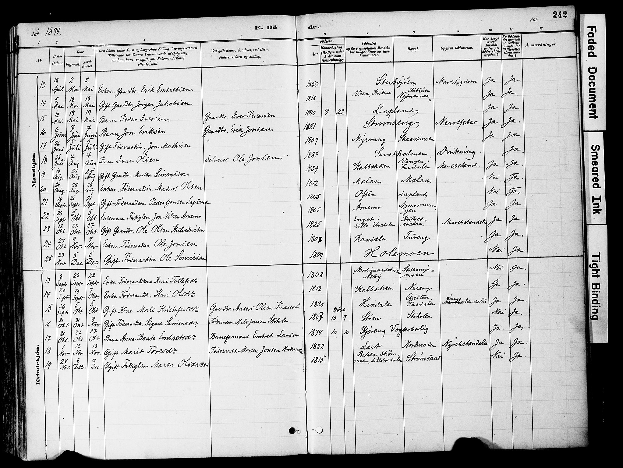 Tynset prestekontor, SAH/PREST-058/H/Ha/Haa/L0022: Parish register (official) no. 22, 1880-1899, p. 242