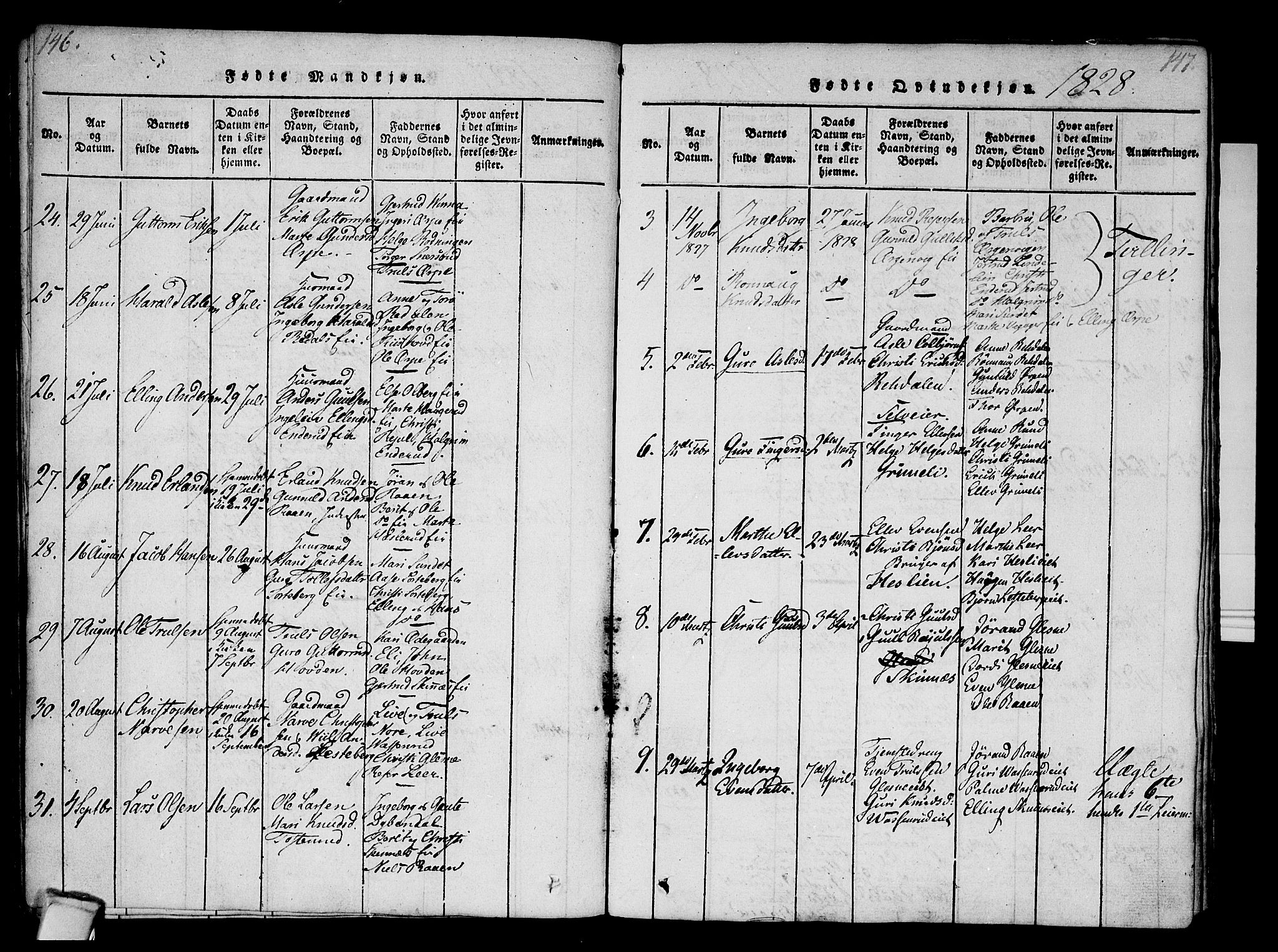 Krødsherad kirkebøker, AV/SAKO-A-19/F/Fa/L0001: Parish register (official) no. 1, 1815-1829, p. 146-147