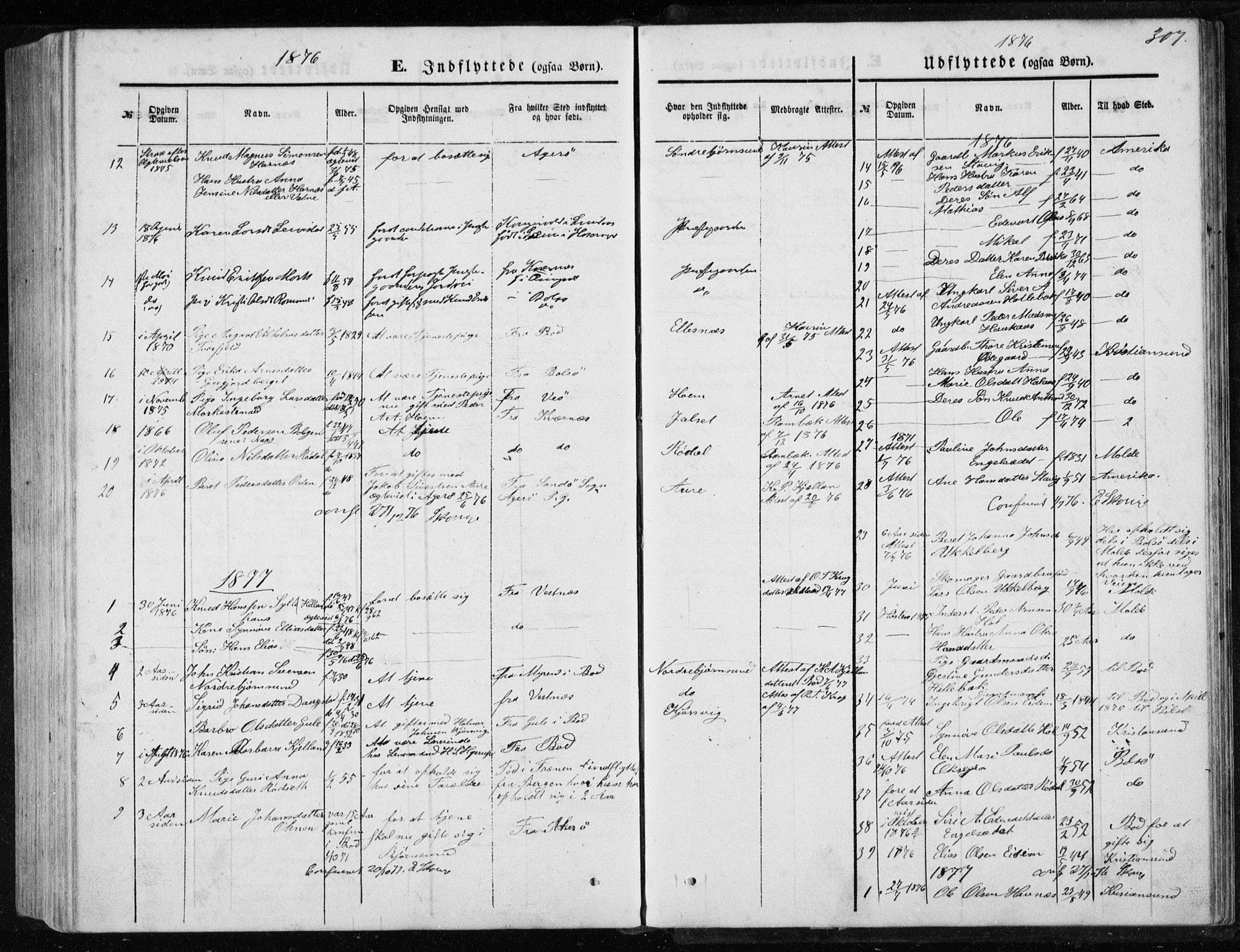 Ministerialprotokoller, klokkerbøker og fødselsregistre - Møre og Romsdal, AV/SAT-A-1454/565/L0754: Parish register (copy) no. 565C03, 1870-1896, p. 307