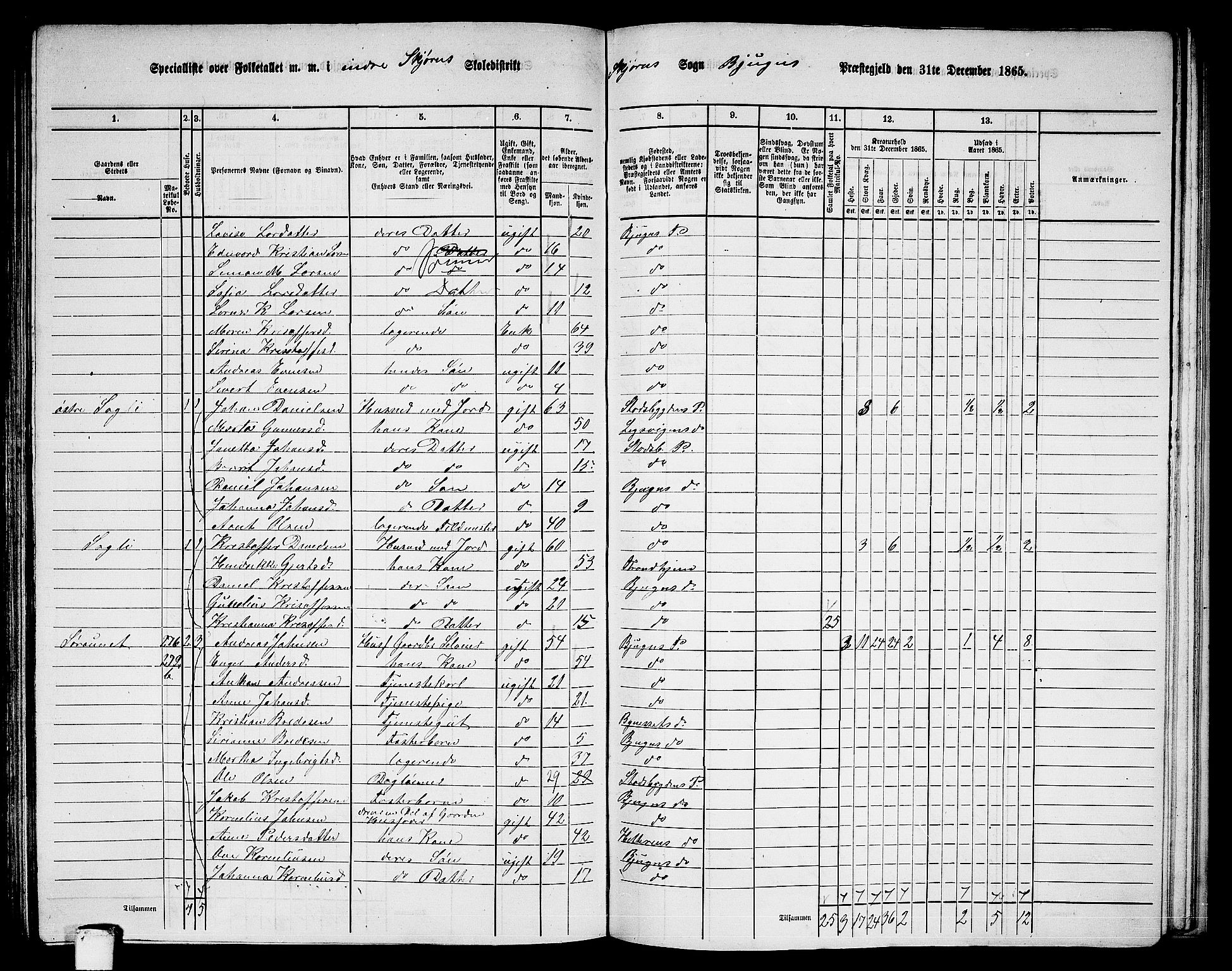 RA, 1865 census for Bjugn, 1865, p. 116