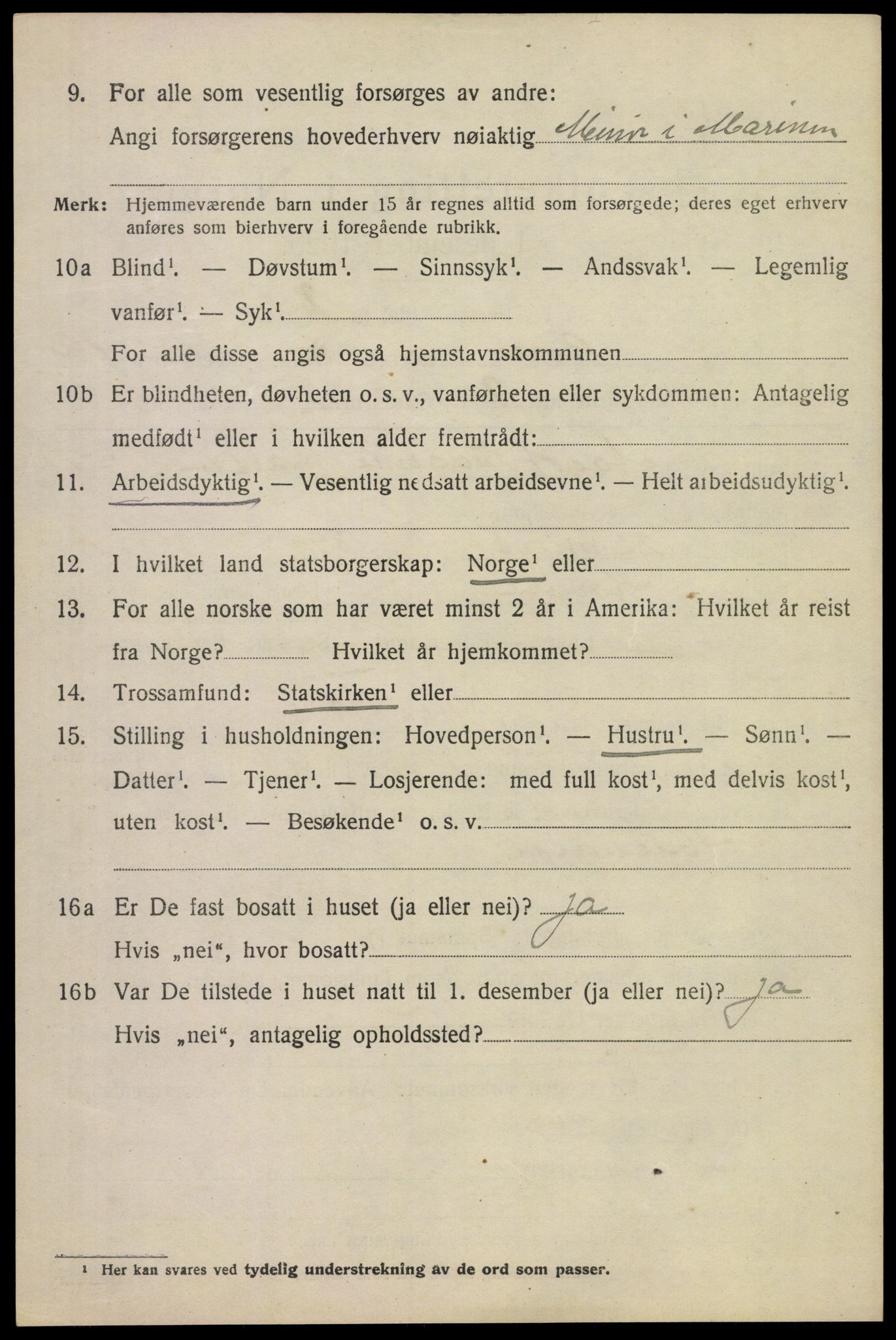 SAKO, 1920 census for Borre, 1920, p. 1399
