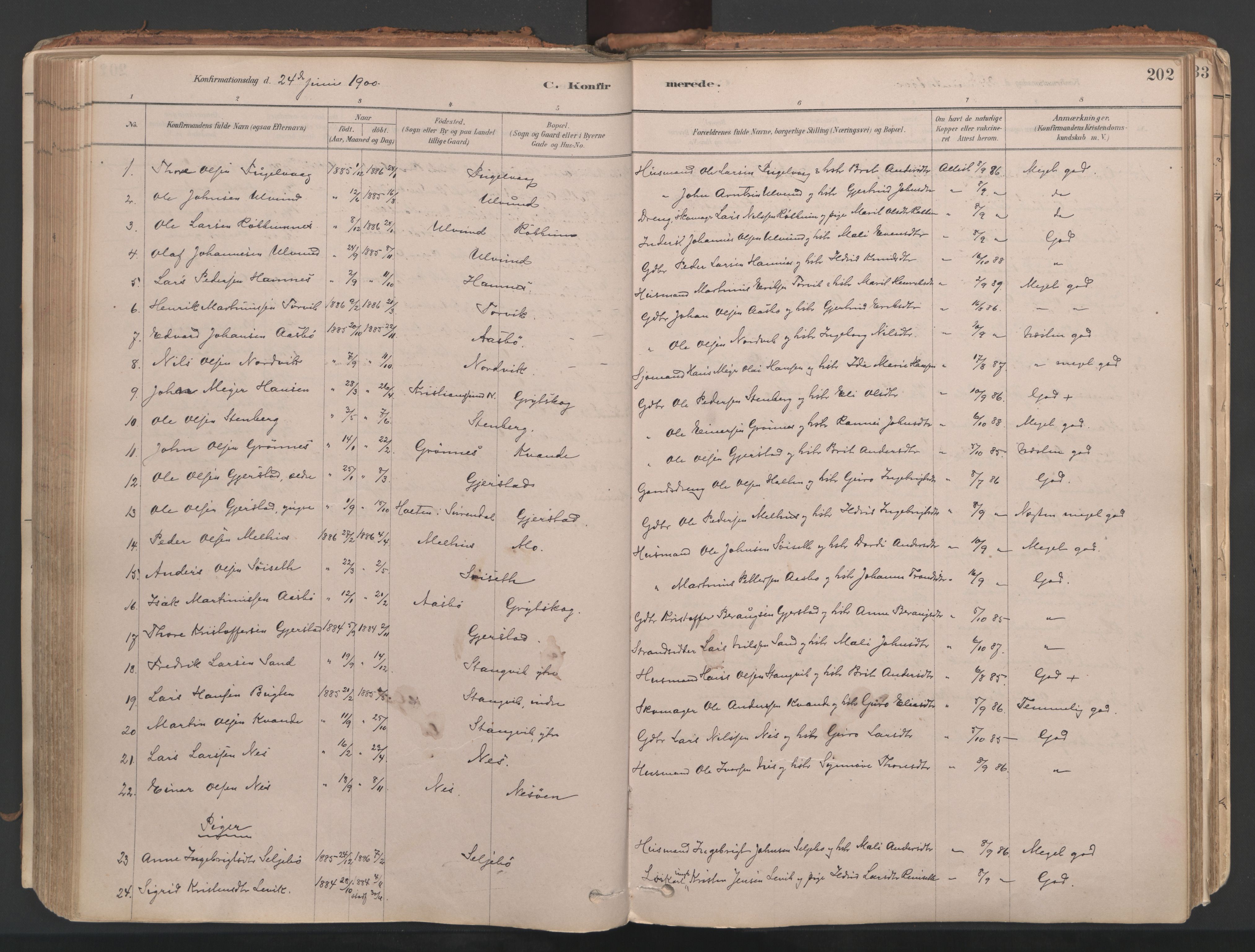 Ministerialprotokoller, klokkerbøker og fødselsregistre - Møre og Romsdal, AV/SAT-A-1454/592/L1029: Parish register (official) no. 592A07, 1879-1902, p. 202