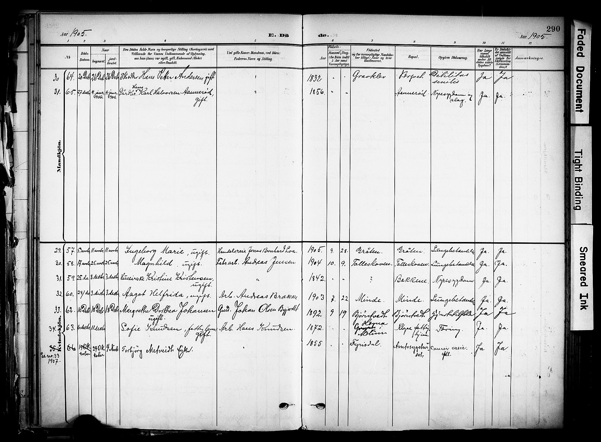 Solum kirkebøker, SAKO/A-306/F/Fa/L0011: Parish register (official) no. I 11, 1898-1909, p. 290