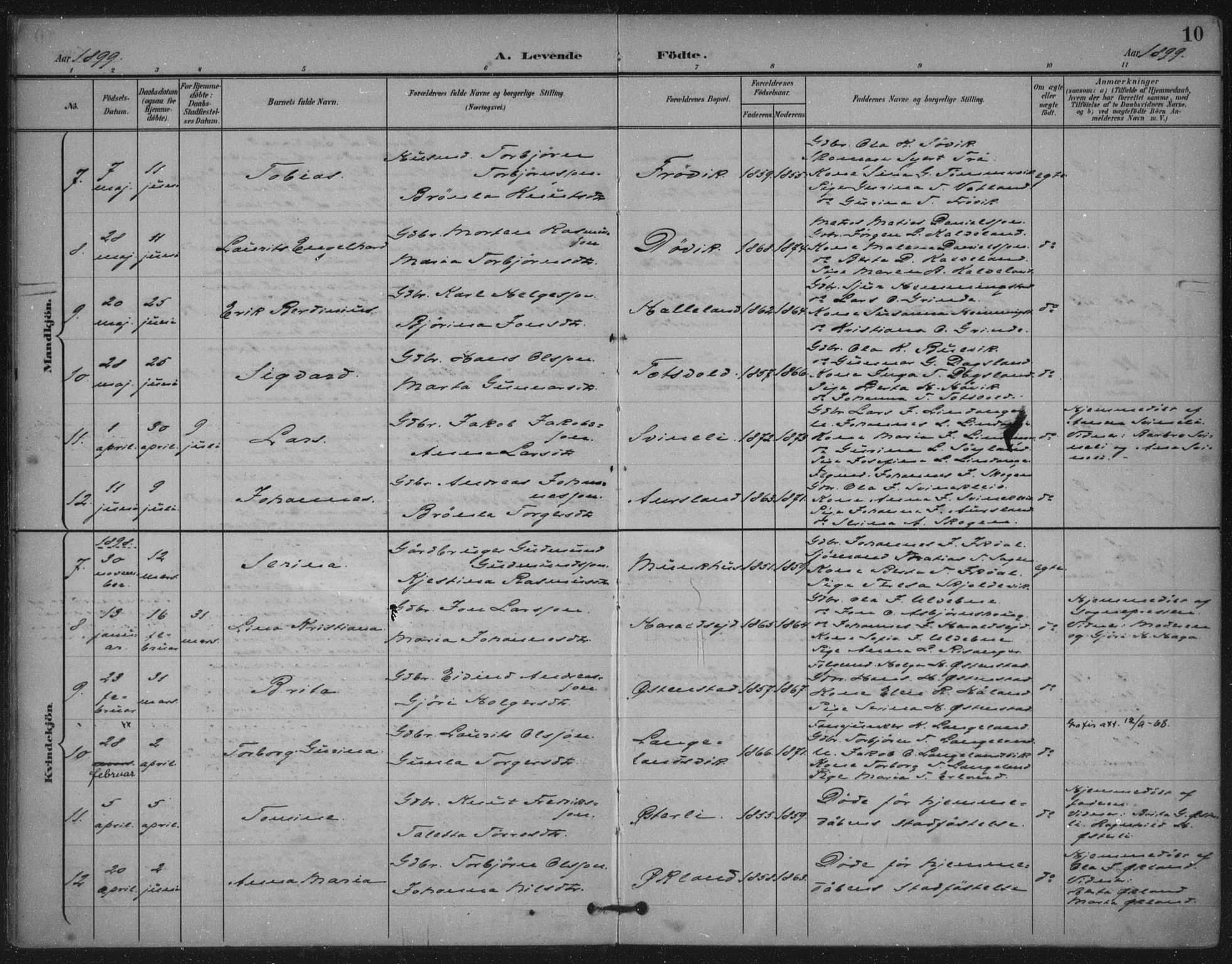 Skjold sokneprestkontor, AV/SAST-A-101847/H/Ha/Haa/L0011: Parish register (official) no. A 11, 1897-1914, p. 10