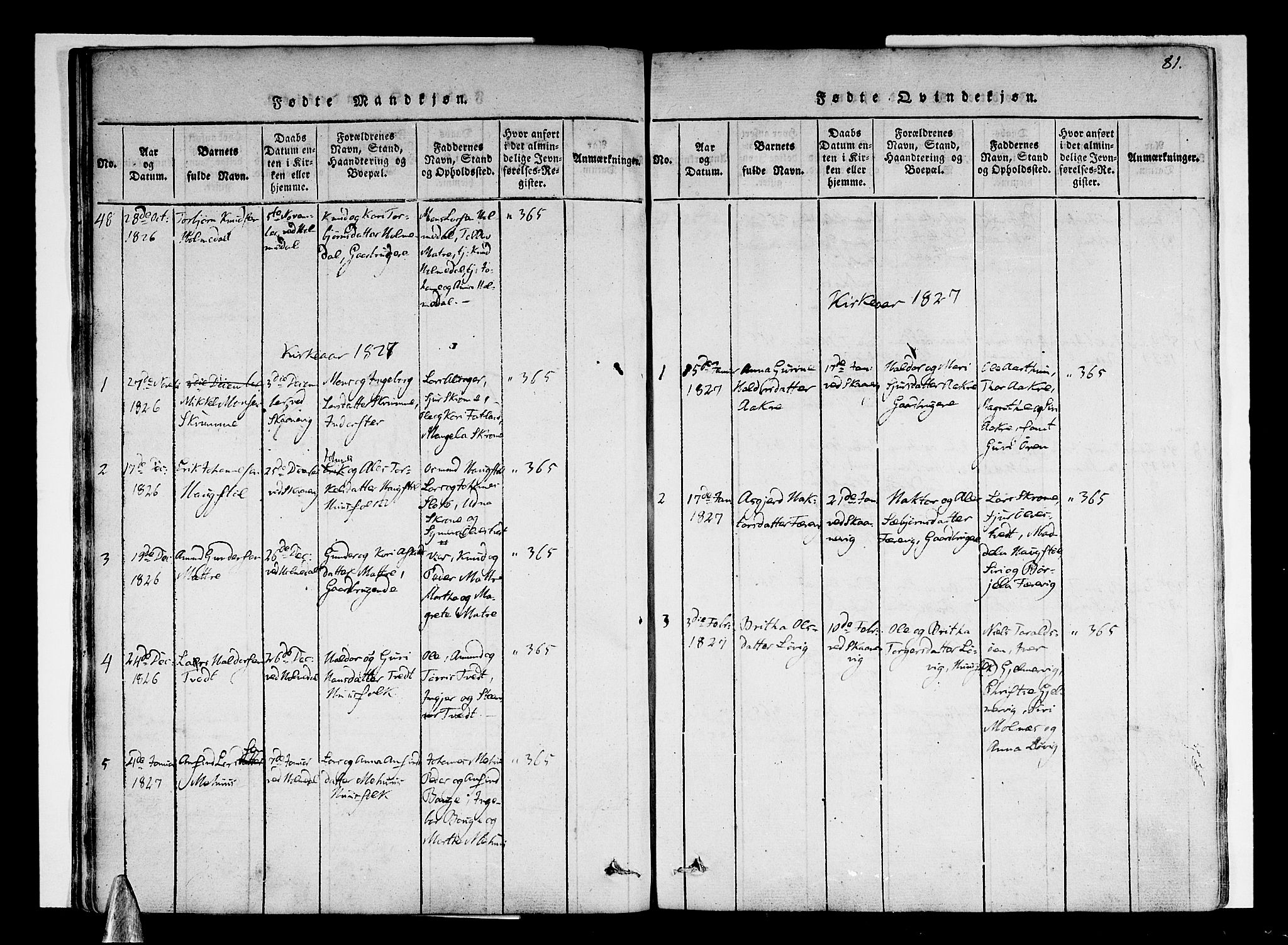 Skånevik sokneprestembete, AV/SAB-A-77801/H/Haa: Parish register (official) no. A 3, 1815-1828, p. 81