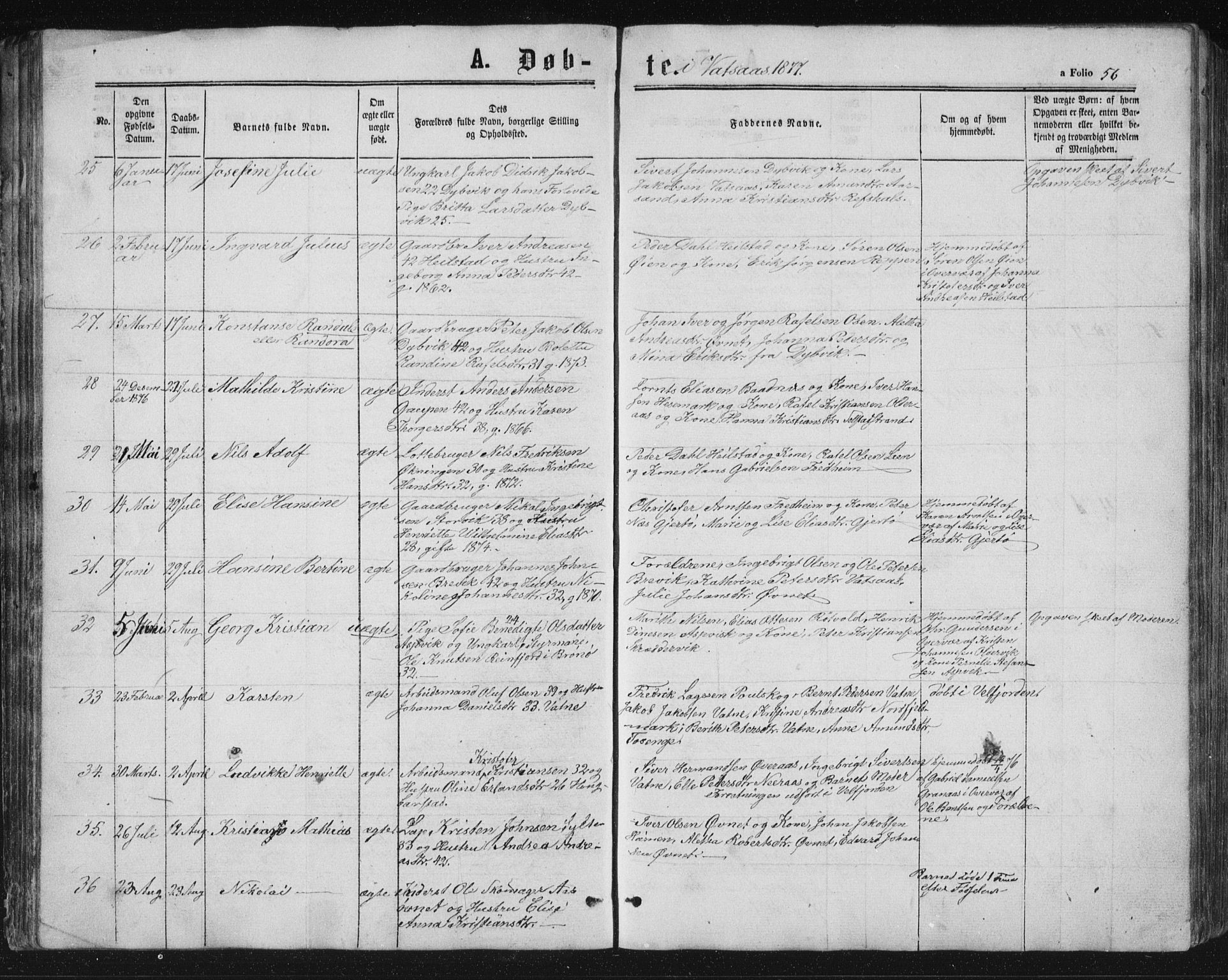 Ministerialprotokoller, klokkerbøker og fødselsregistre - Nordland, AV/SAT-A-1459/810/L0158: Parish register (copy) no. 810C02 /1, 1863-1883, p. 56