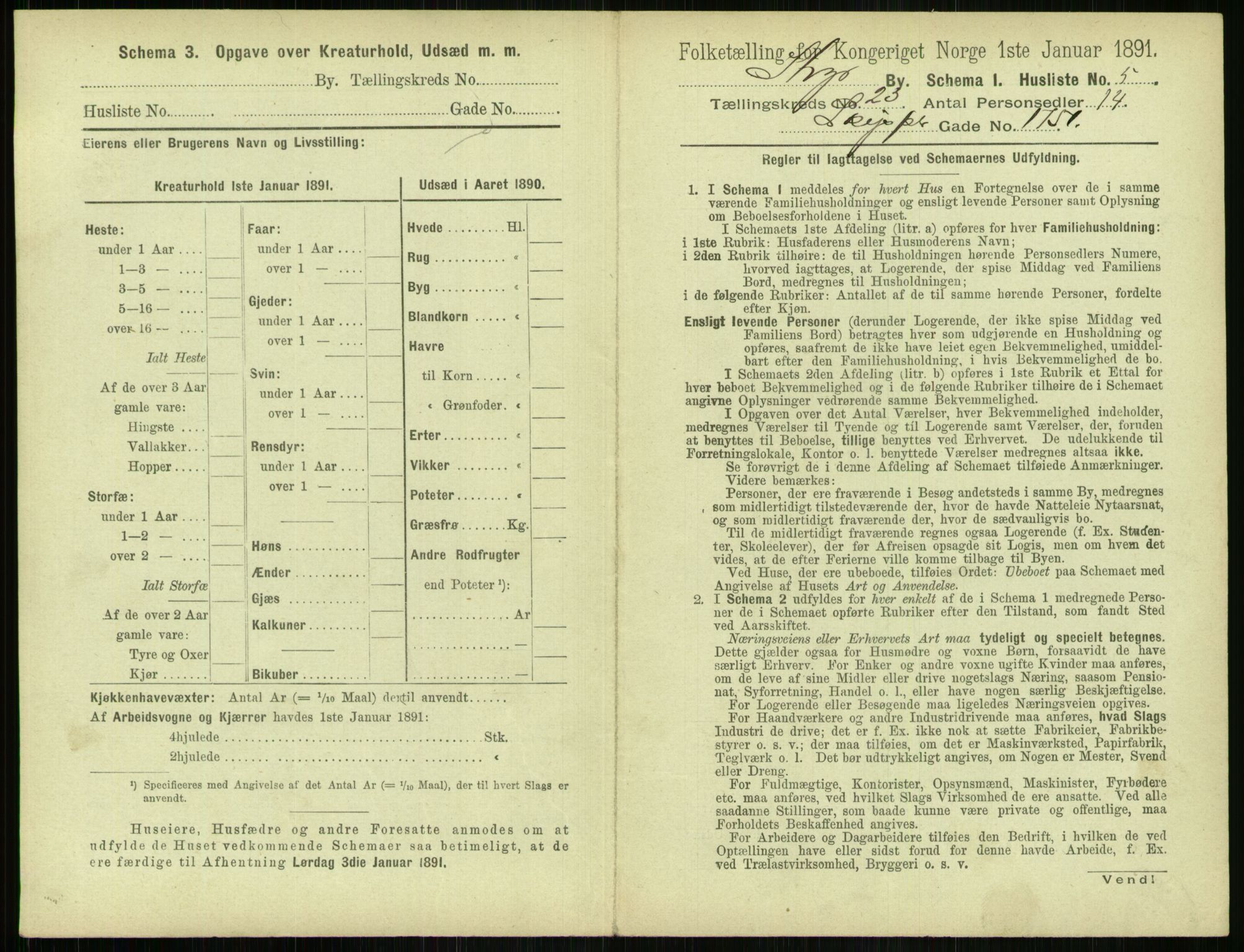 RA, 1891 census for 1103 Stavanger, 1891, p. 4381