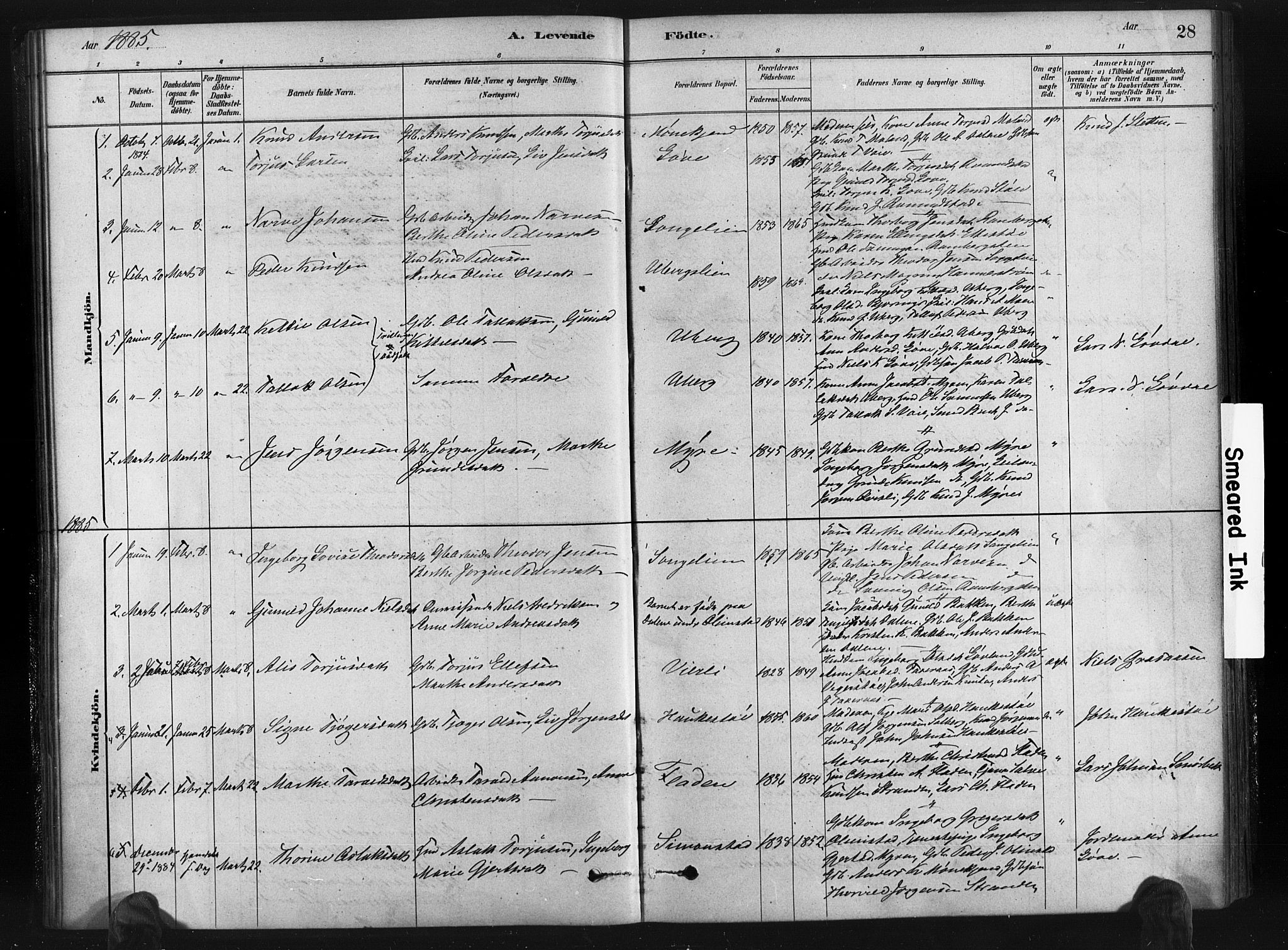 Gjerstad sokneprestkontor, AV/SAK-1111-0014/F/Fa/Fab/L0004: Parish register (official) no. A 4, 1879-1890, p. 28