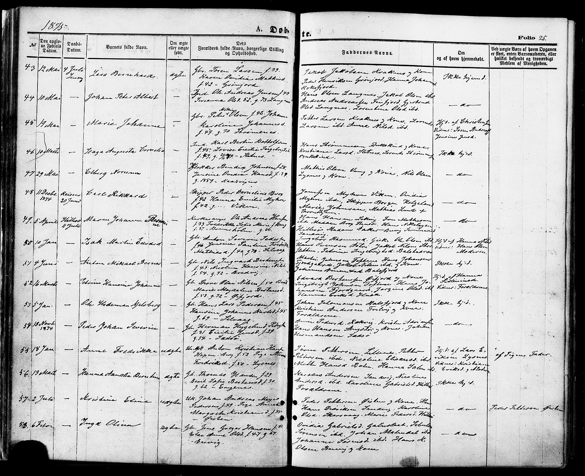 Lenvik sokneprestembete, SATØ/S-1310/H/Ha/Haa/L0010kirke: Parish register (official) no. 10, 1873-1880, p. 25