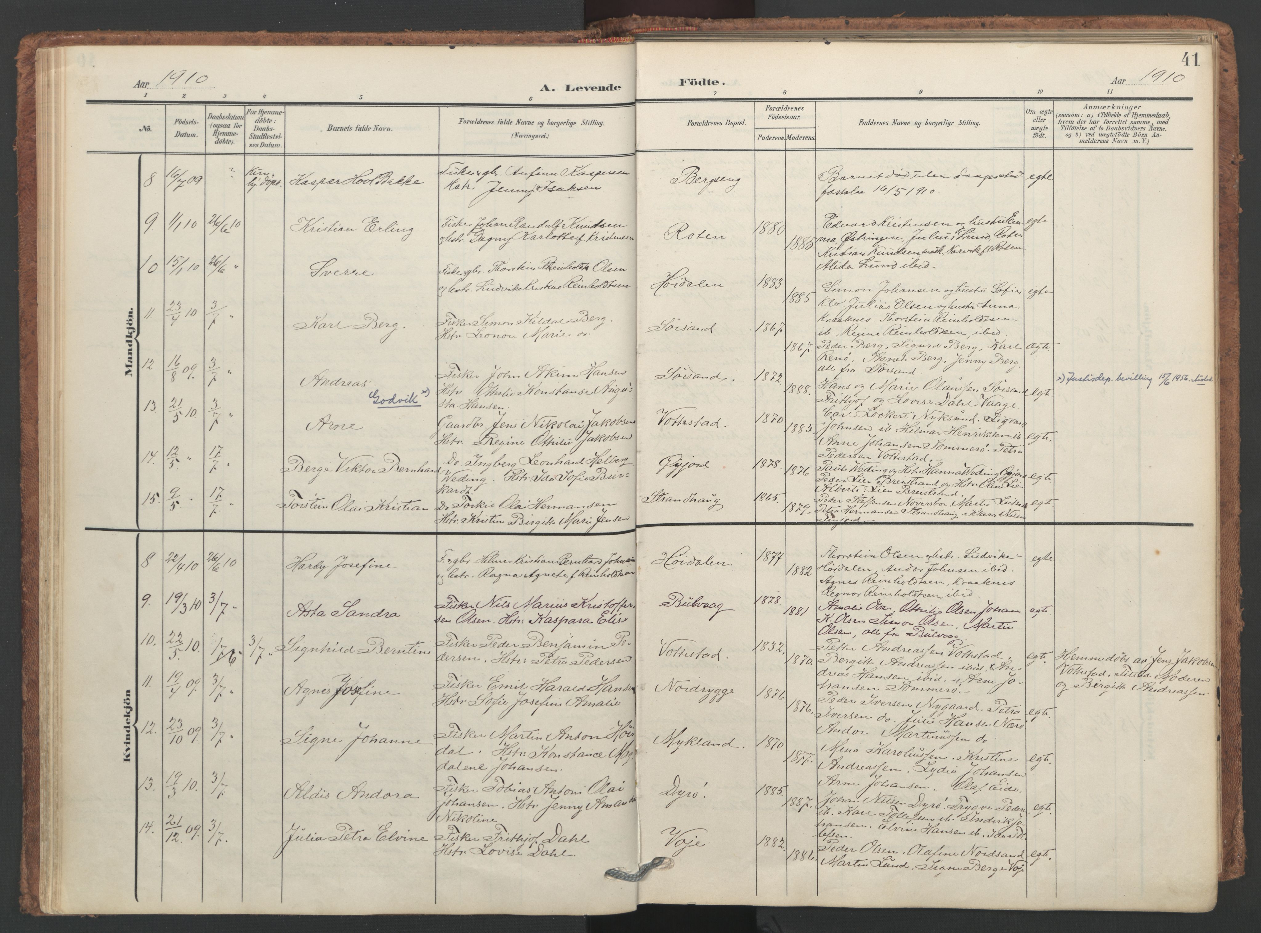 Ministerialprotokoller, klokkerbøker og fødselsregistre - Nordland, SAT/A-1459/893/L1339: Parish register (official) no. 893A11, 1904-1914, p. 41