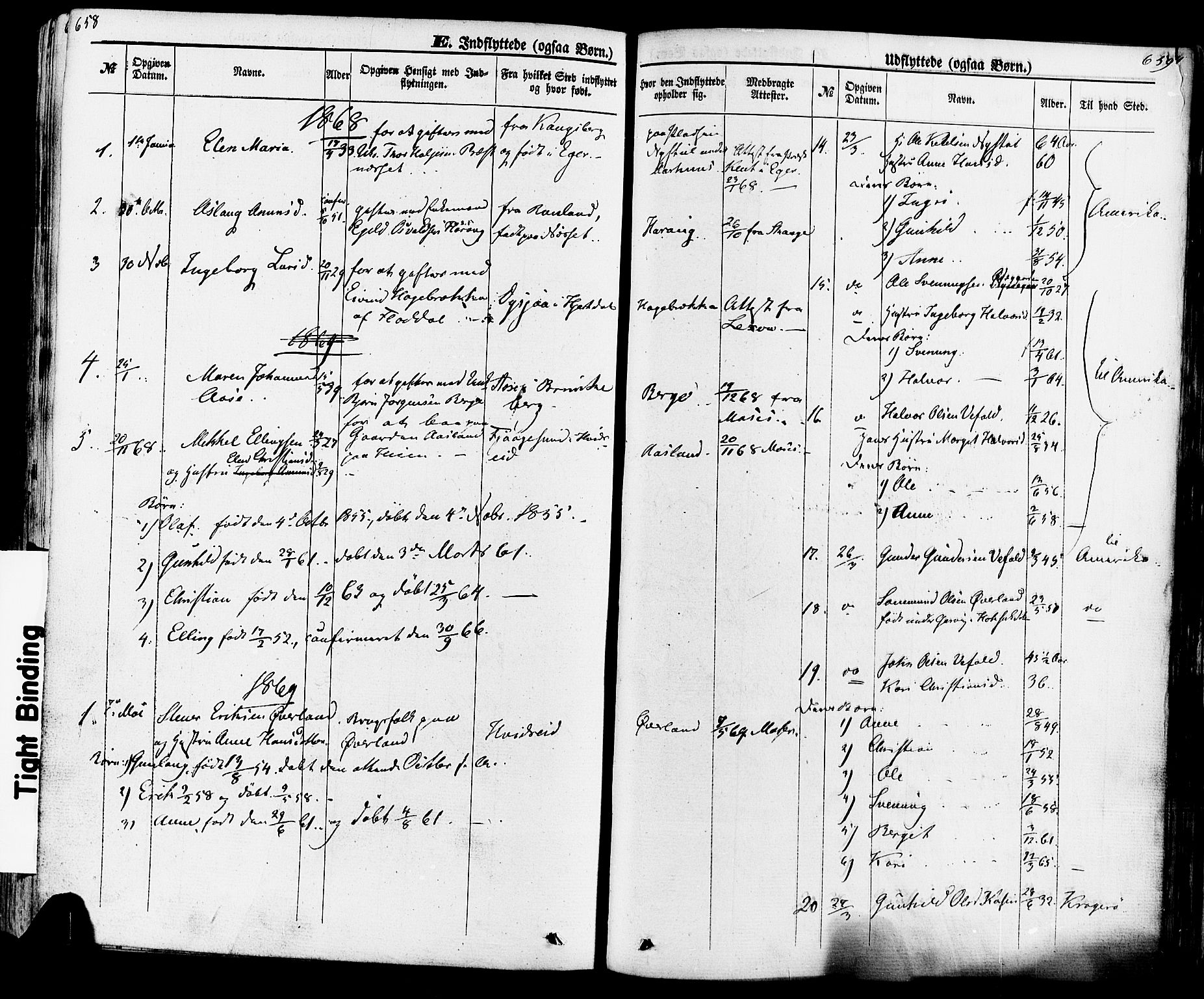 Seljord kirkebøker, SAKO/A-20/F/Fa/L0013: Parish register (official) no. I 13, 1866-1876, p. 658-659