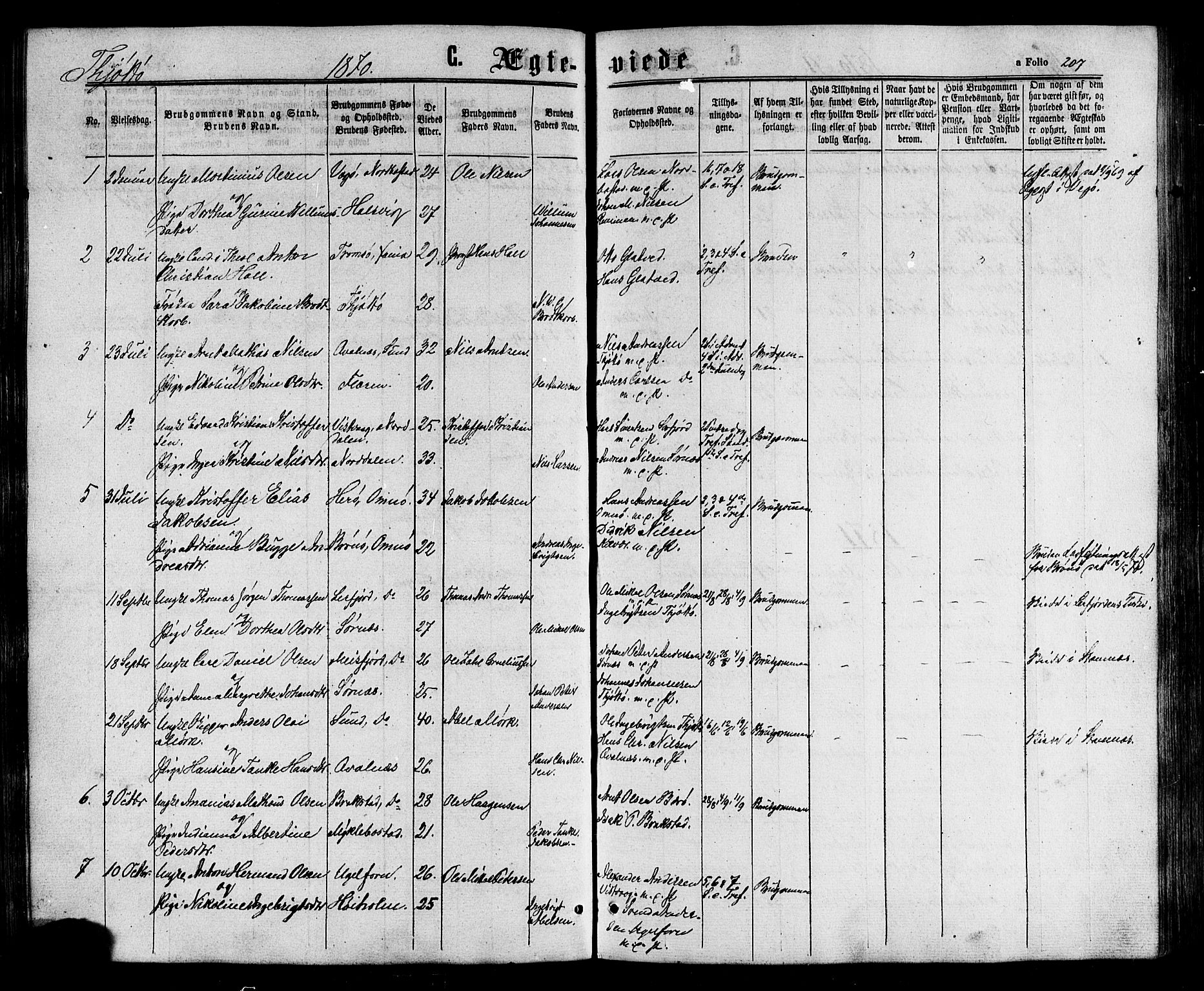 Ministerialprotokoller, klokkerbøker og fødselsregistre - Nordland, AV/SAT-A-1459/817/L0262: Parish register (official) no. 817A03/ 1, 1862-1877, p. 207