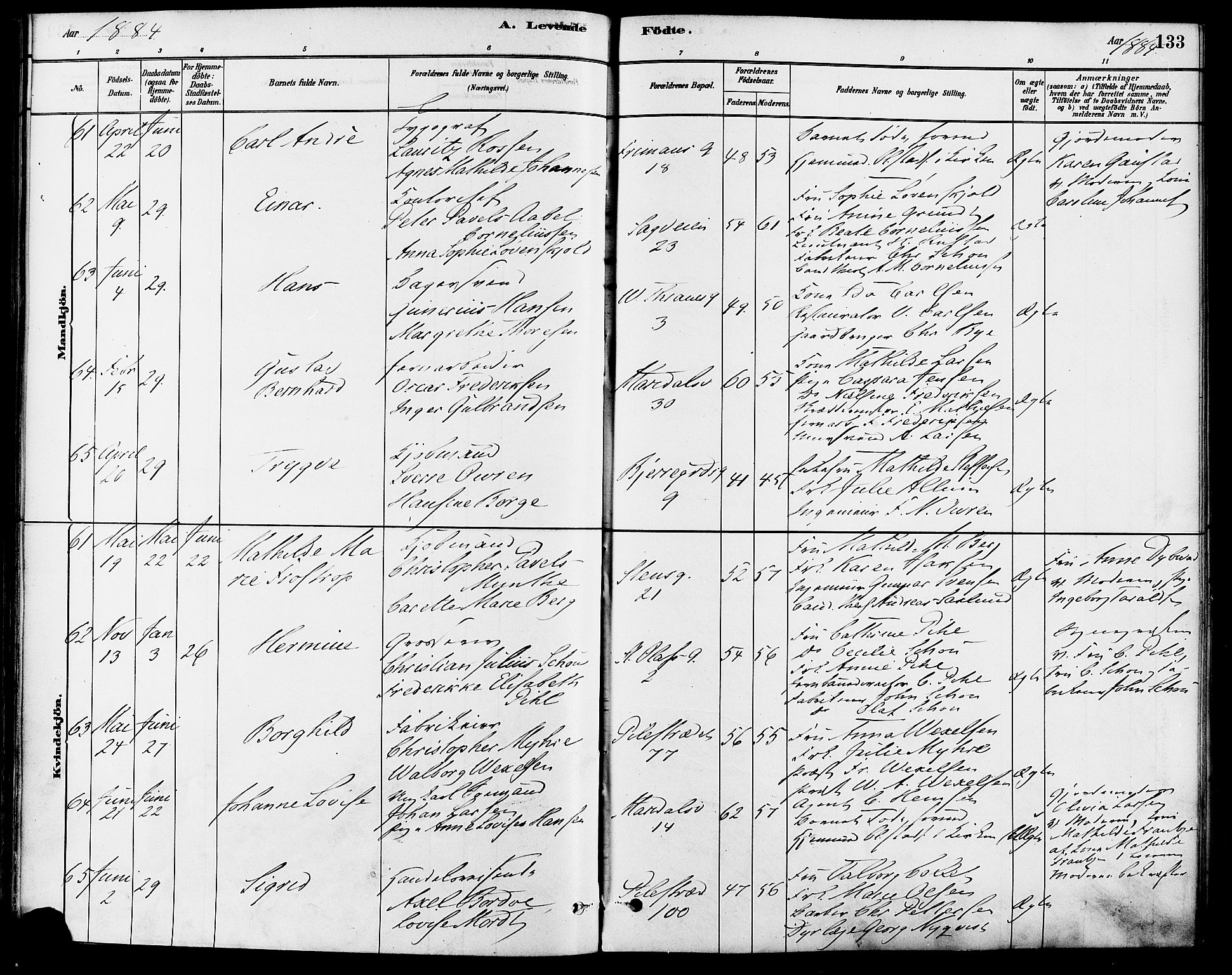 Gamle Aker prestekontor Kirkebøker, SAO/A-10617a/F/L0006: Parish register (official) no. 6, 1880-1887, p. 133