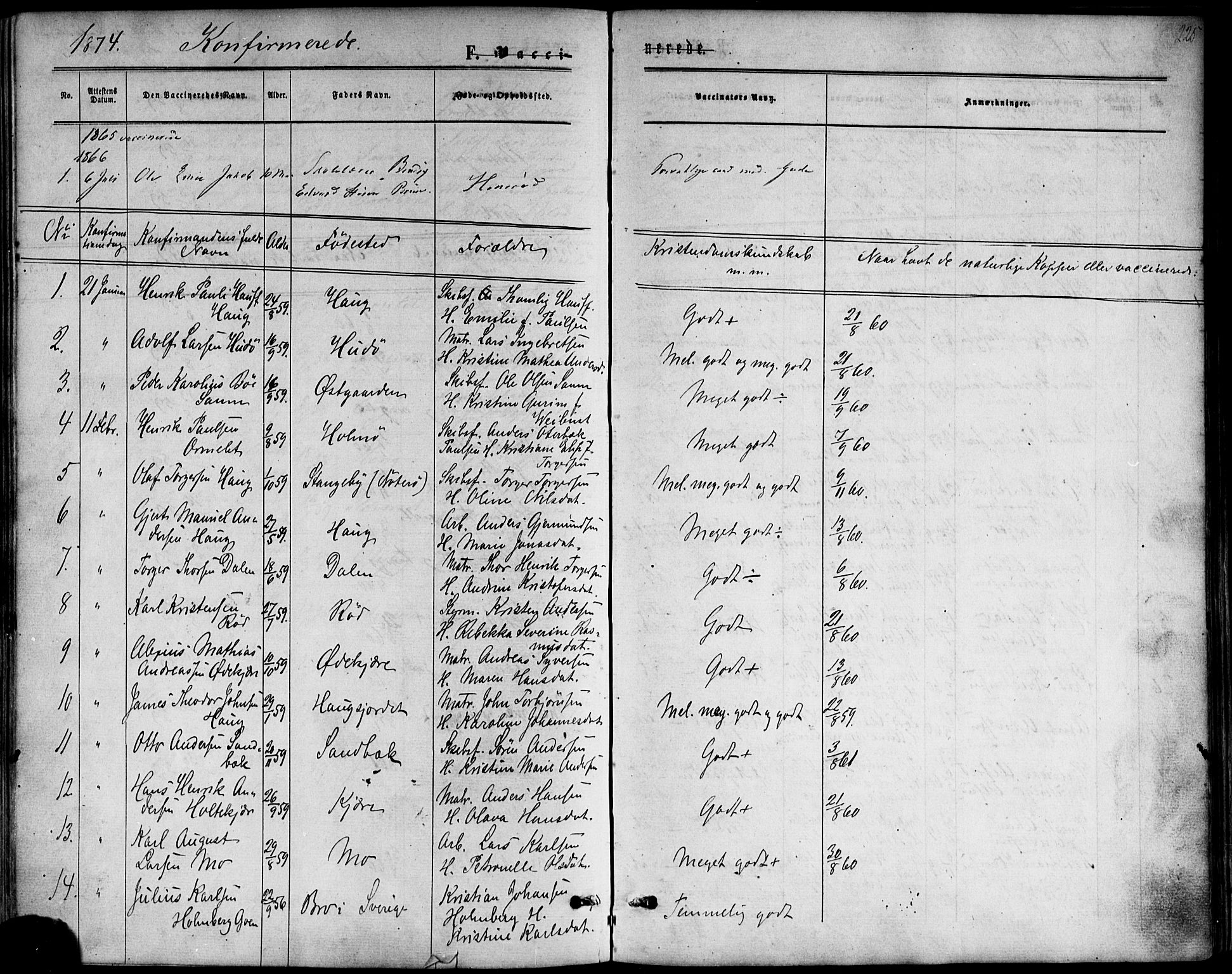 Nøtterøy kirkebøker, AV/SAKO-A-354/F/Fb/L0001: Parish register (official) no. II 1, 1865-1878, p. 225