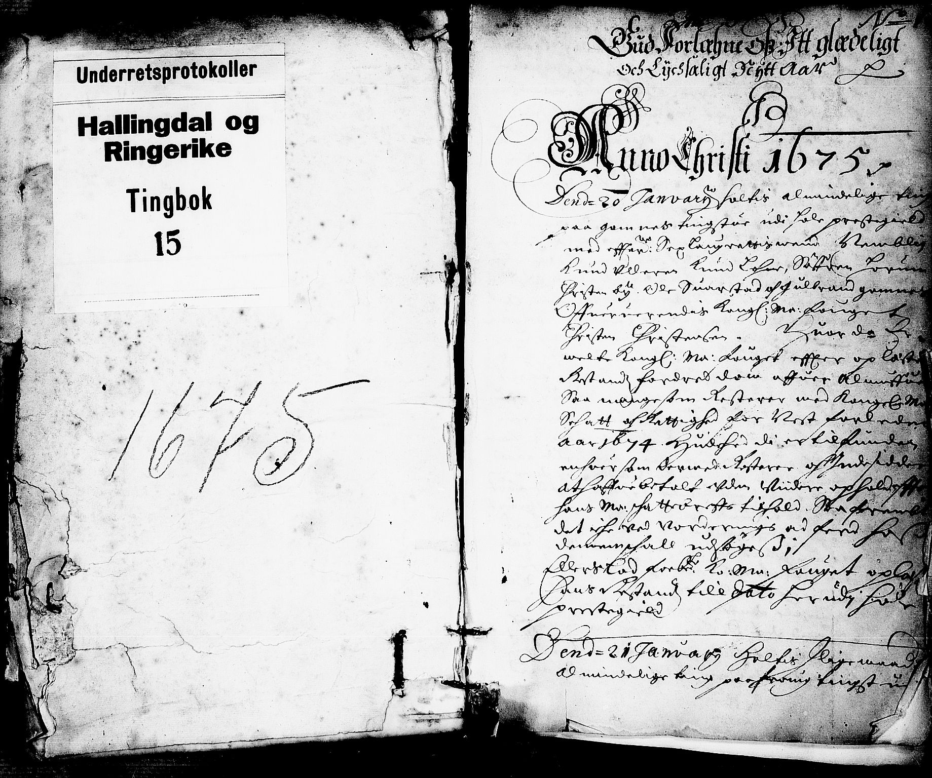 Ringerike og Hallingdal sorenskriveri, SAKO/A-81/F/Fa/Faa/L0011: Tingbok, 1675-1676, p. 1