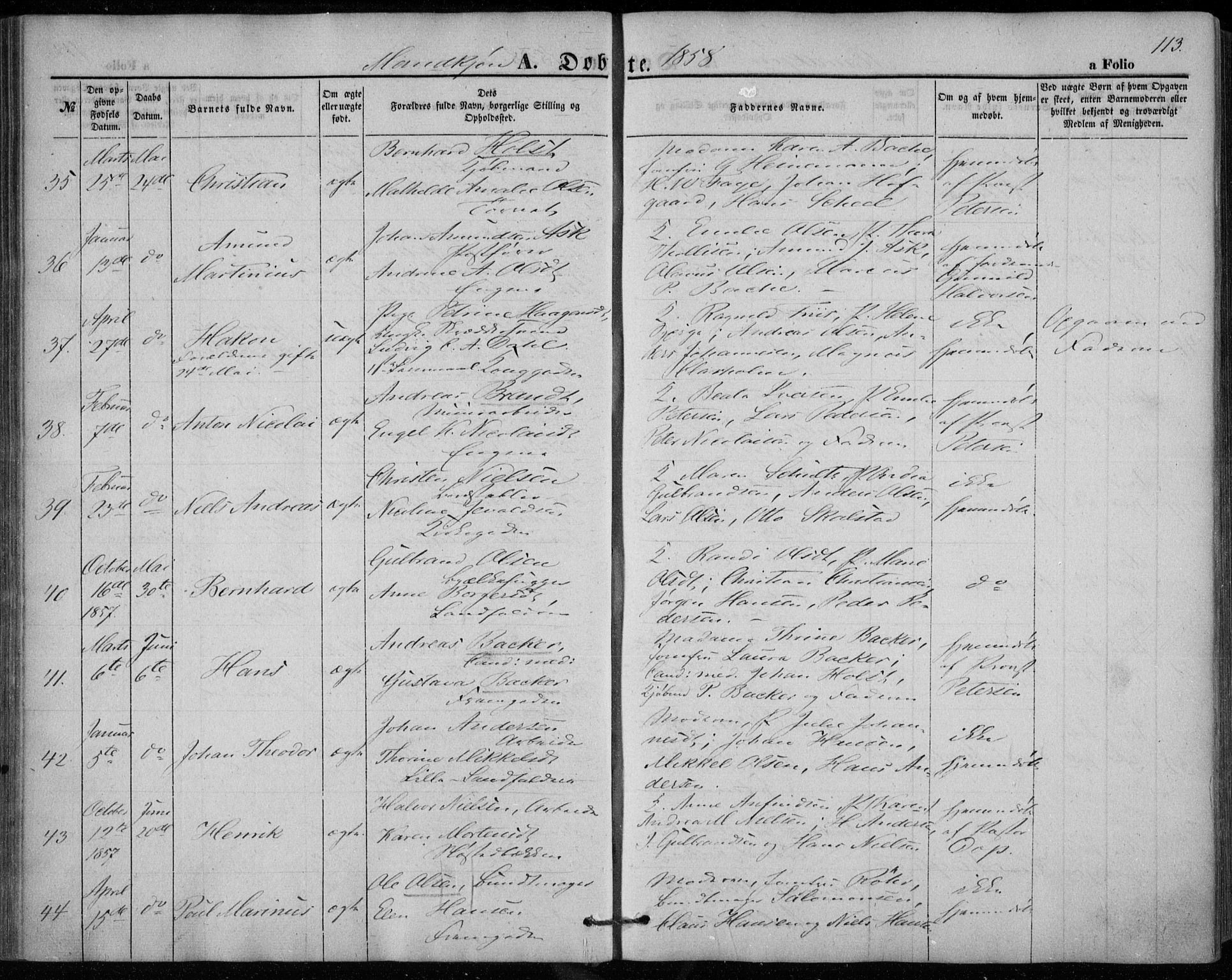 Bragernes kirkebøker, SAKO/A-6/F/Fb/L0002: Parish register (official) no. II 2, 1848-1859, p. 113