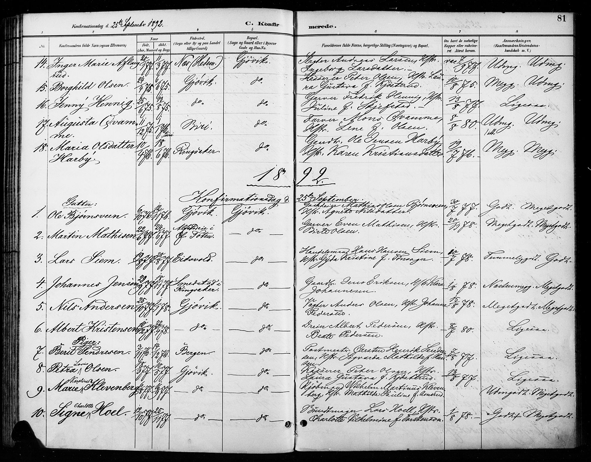 Vardal prestekontor, SAH/PREST-100/H/Ha/Haa/L0011: Parish register (official) no. 11, 1891-1901, p. 81