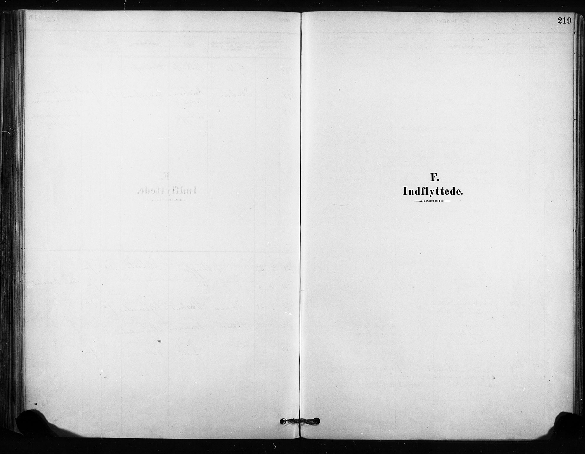 Sandsvær kirkebøker, SAKO/A-244/F/Fc/L0001: Parish register (official) no. III 1, 1878-1923, p. 219