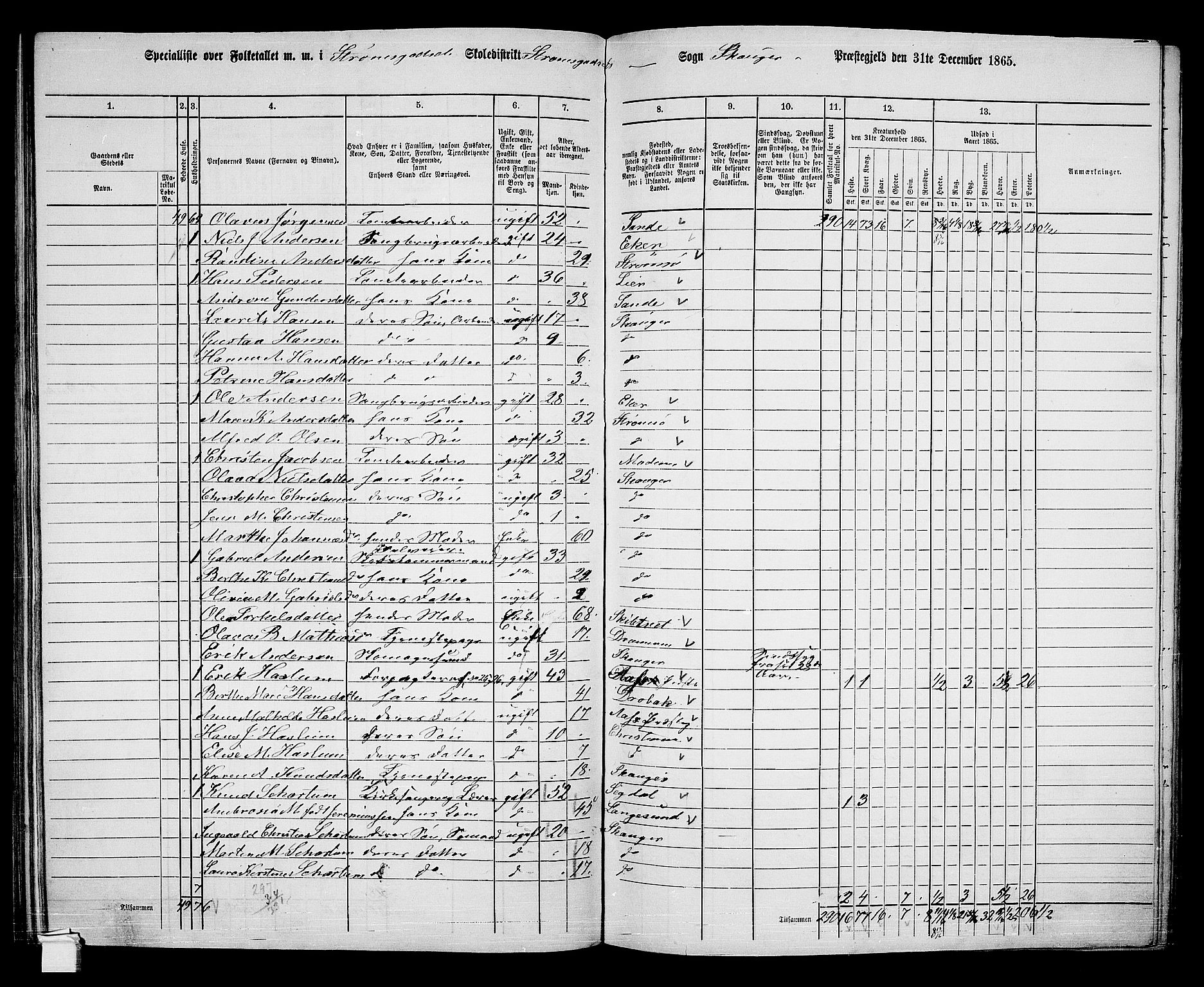 RA, 1865 census for Skoger, 1865, p. 125