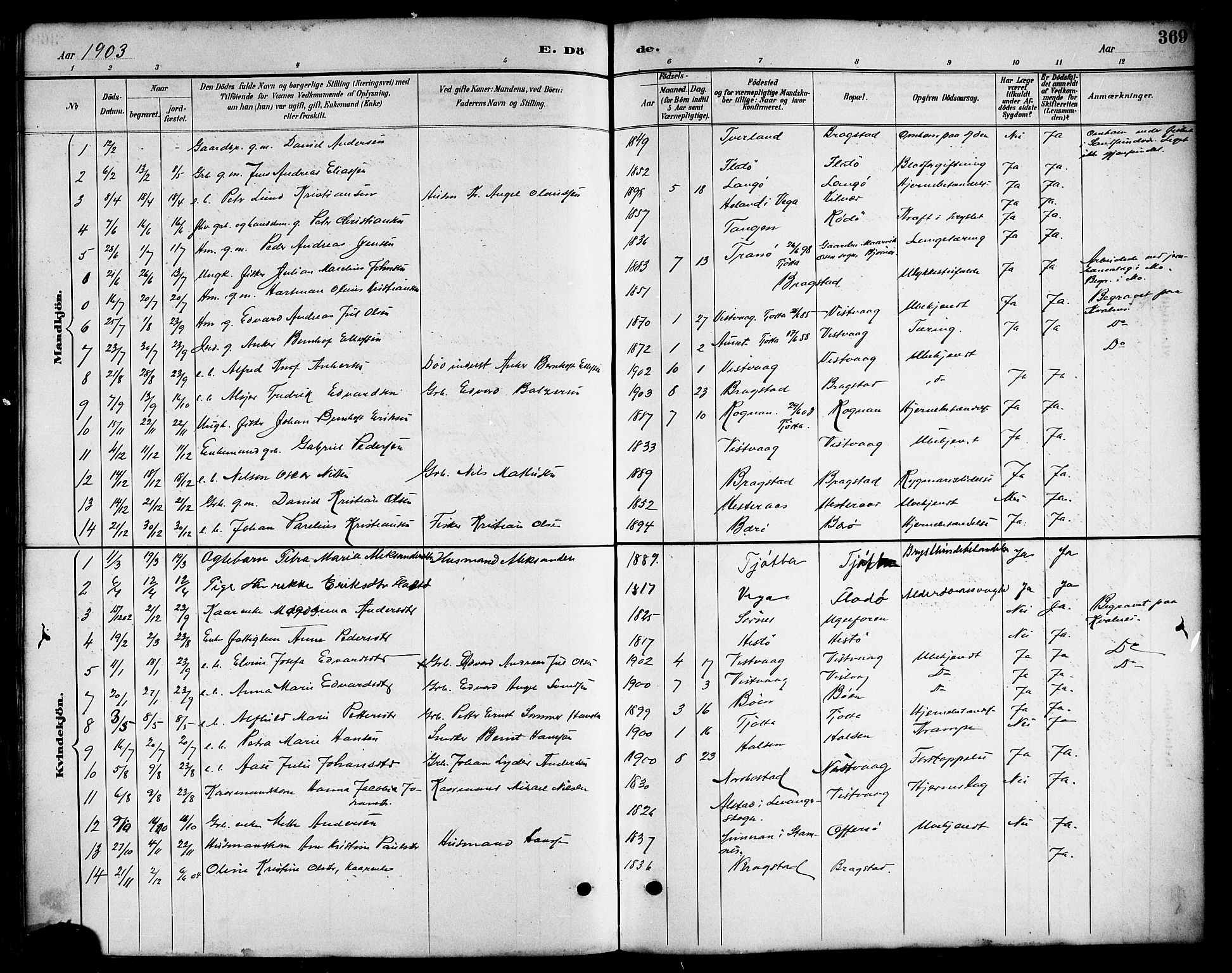 Ministerialprotokoller, klokkerbøker og fødselsregistre - Nordland, AV/SAT-A-1459/817/L0268: Parish register (copy) no. 817C03, 1884-1920, p. 369