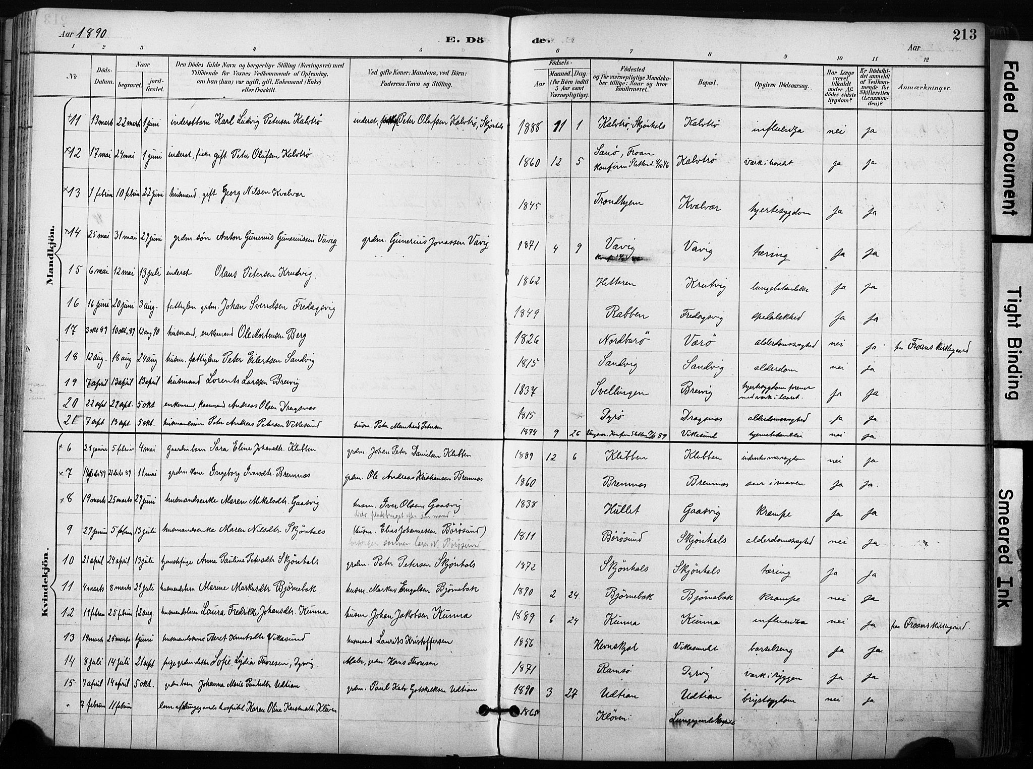 Ministerialprotokoller, klokkerbøker og fødselsregistre - Sør-Trøndelag, SAT/A-1456/640/L0579: Parish register (official) no. 640A04, 1889-1902, p. 213