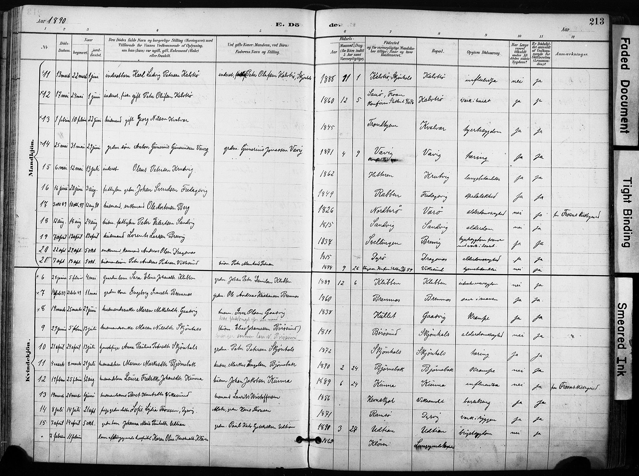 Ministerialprotokoller, klokkerbøker og fødselsregistre - Sør-Trøndelag, AV/SAT-A-1456/640/L0579: Parish register (official) no. 640A04, 1889-1902, p. 213