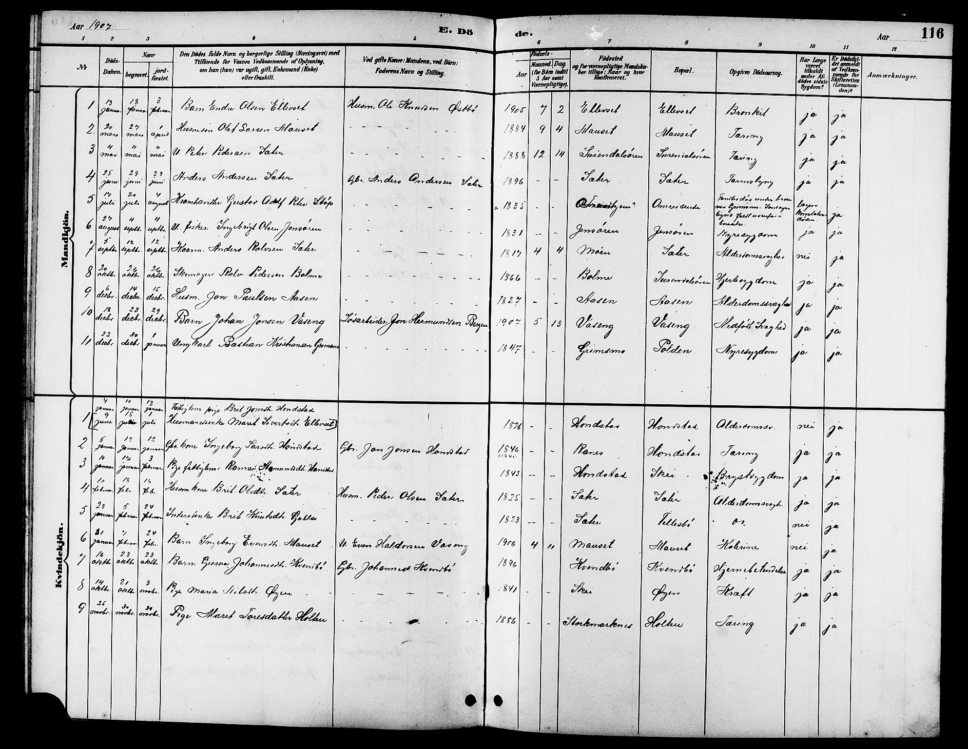 Ministerialprotokoller, klokkerbøker og fødselsregistre - Møre og Romsdal, AV/SAT-A-1454/596/L1058: Parish register (copy) no. 596C01, 1891-1907, p. 116