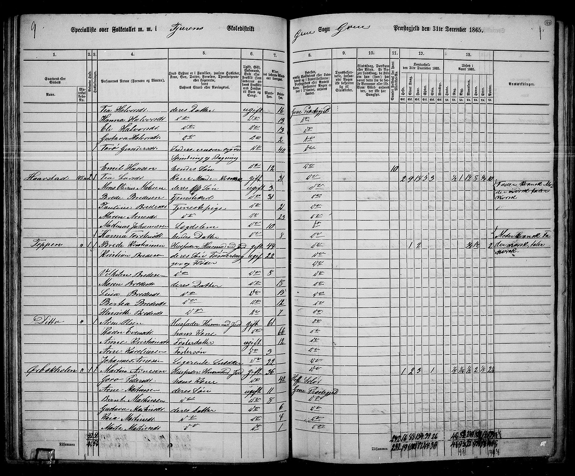 RA, 1865 census for Grue, 1865, p. 116