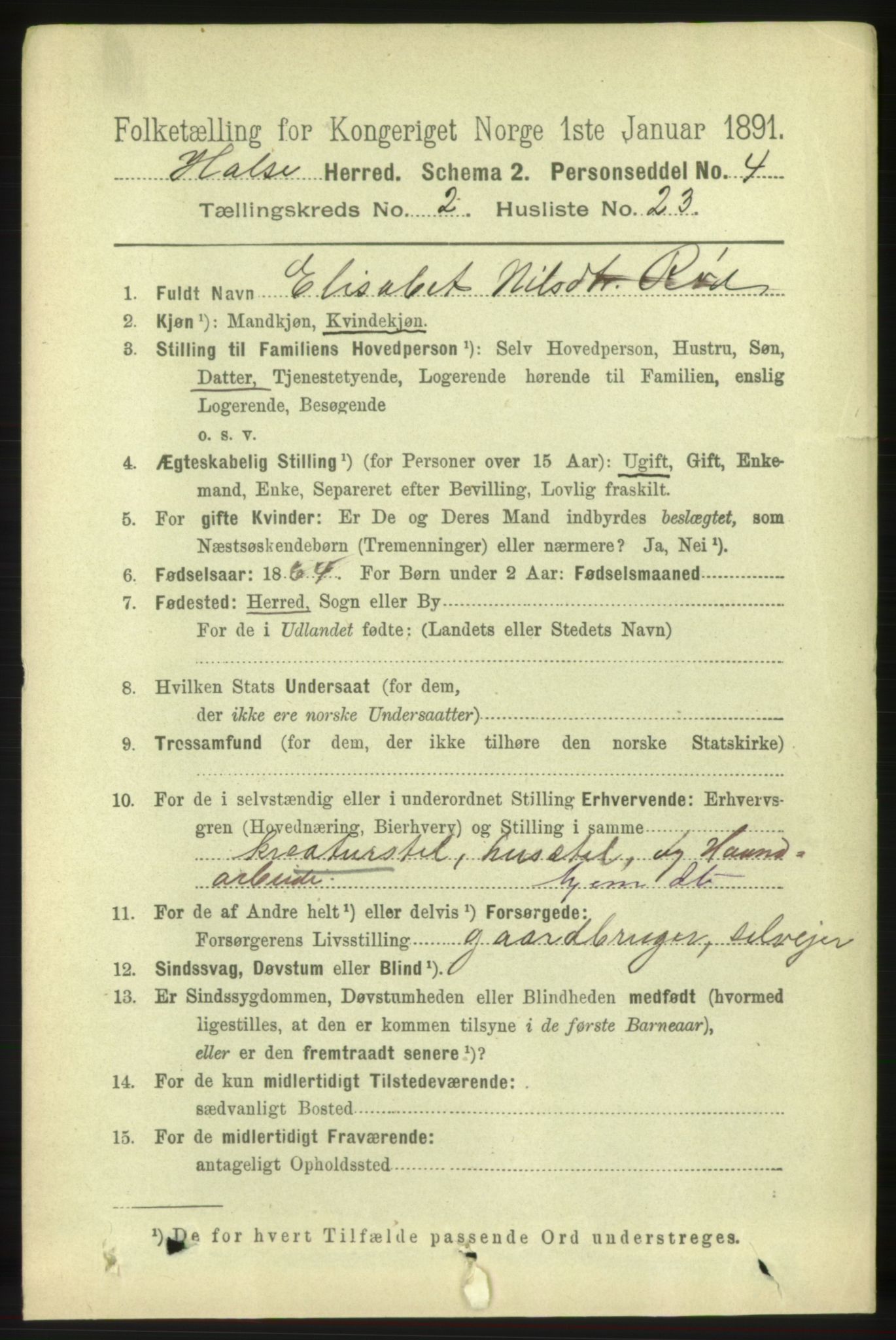 RA, 1891 census for 1571 Halsa, 1891, p. 424