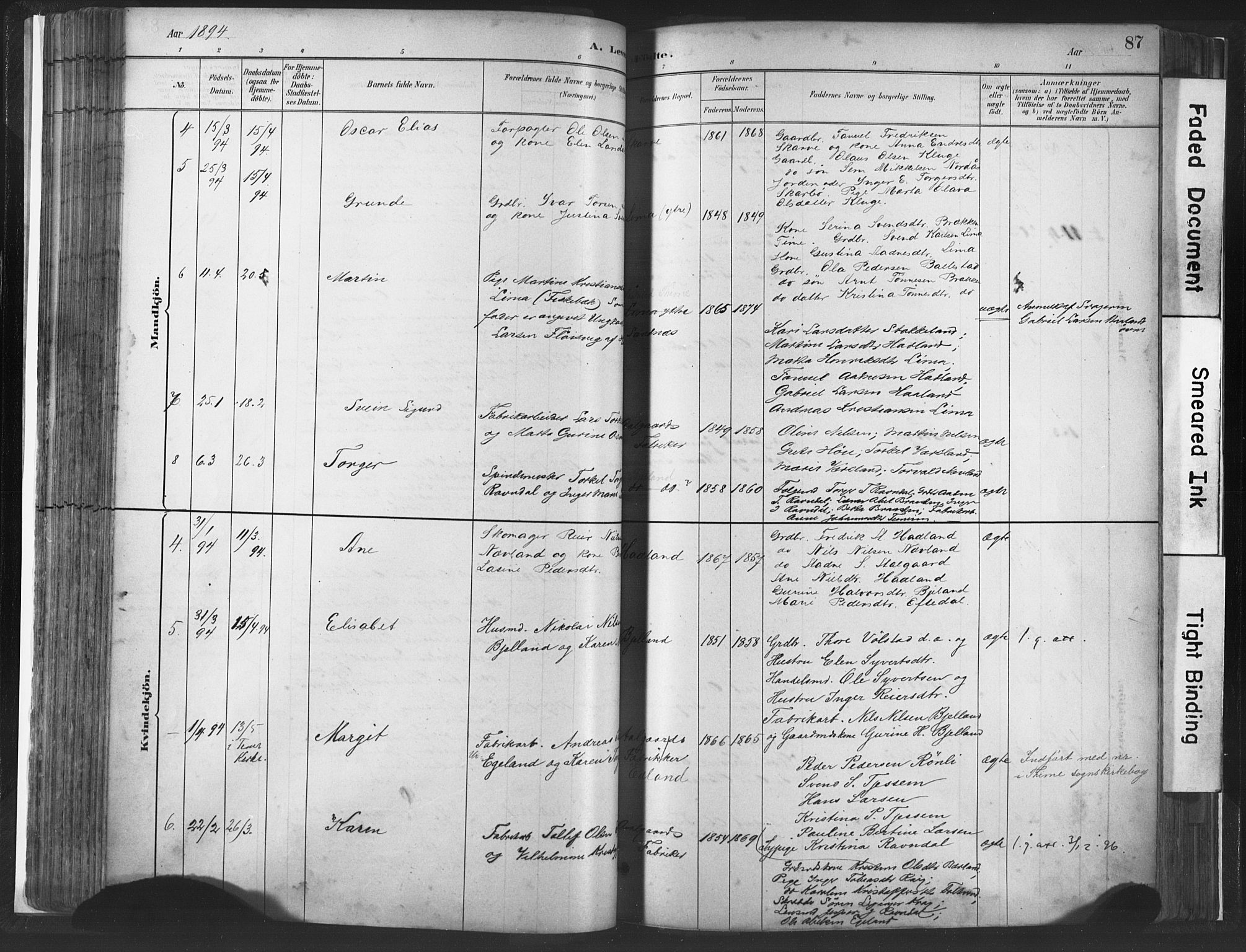 Lye sokneprestkontor, AV/SAST-A-101794/001/30BA/L0010: Parish register (official) no. A 10, 1881-1896, p. 87