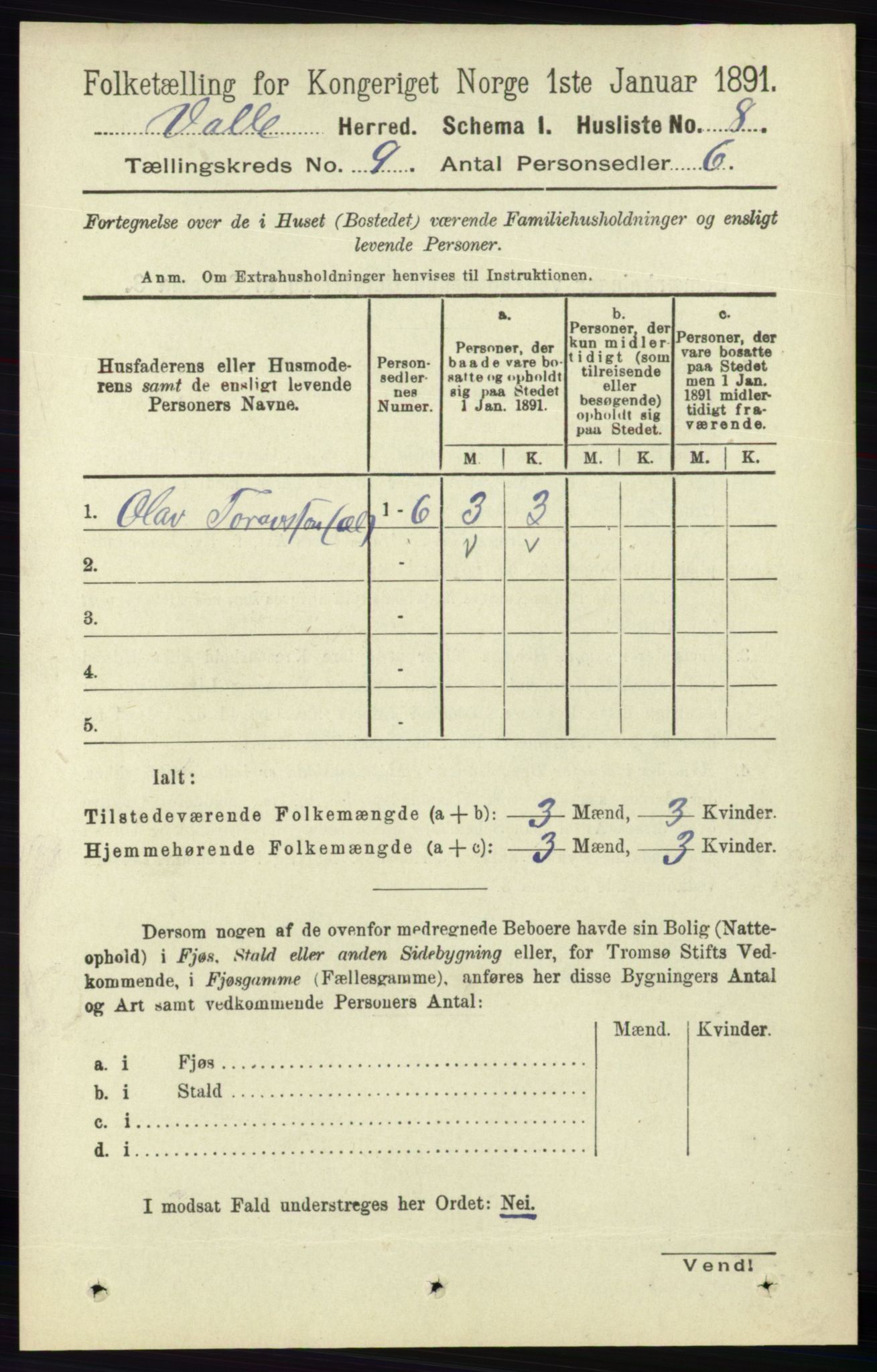 RA, 1891 census for 0940 Valle, 1891, p. 2394