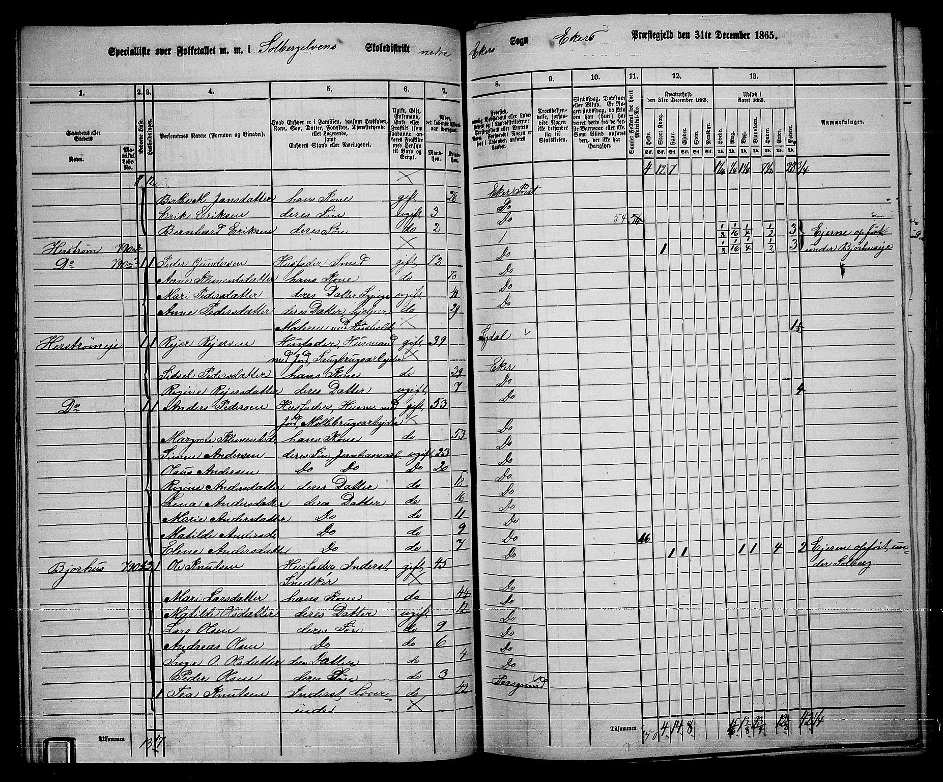 RA, 1865 census for Eiker, 1865, p. 341