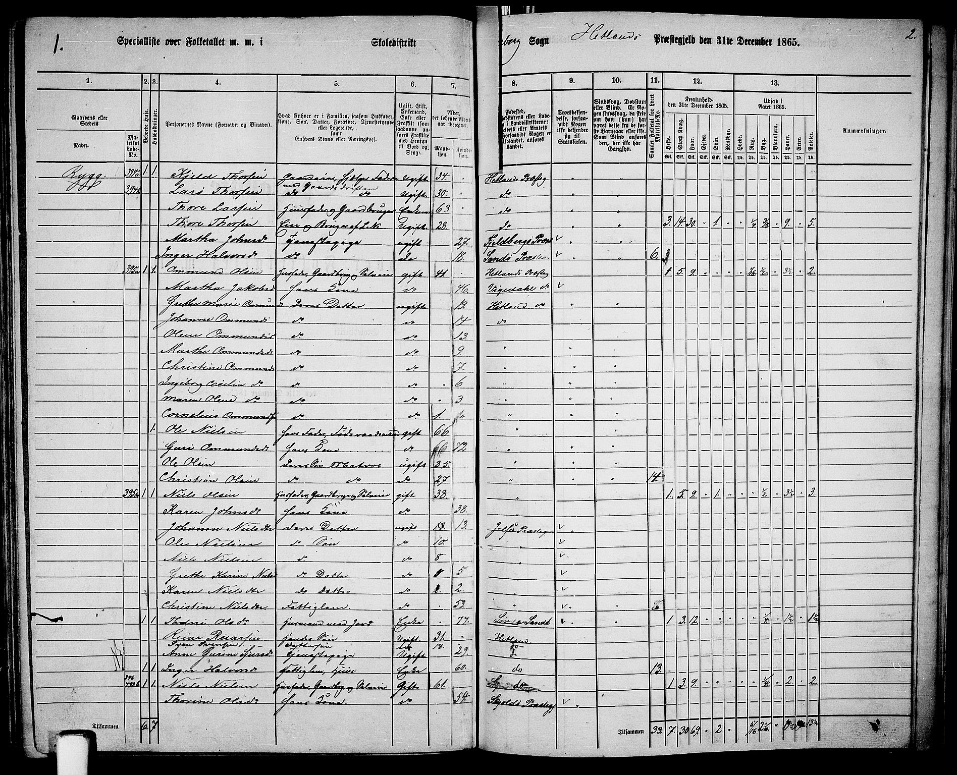 RA, 1865 census for Hetland, 1865, p. 183