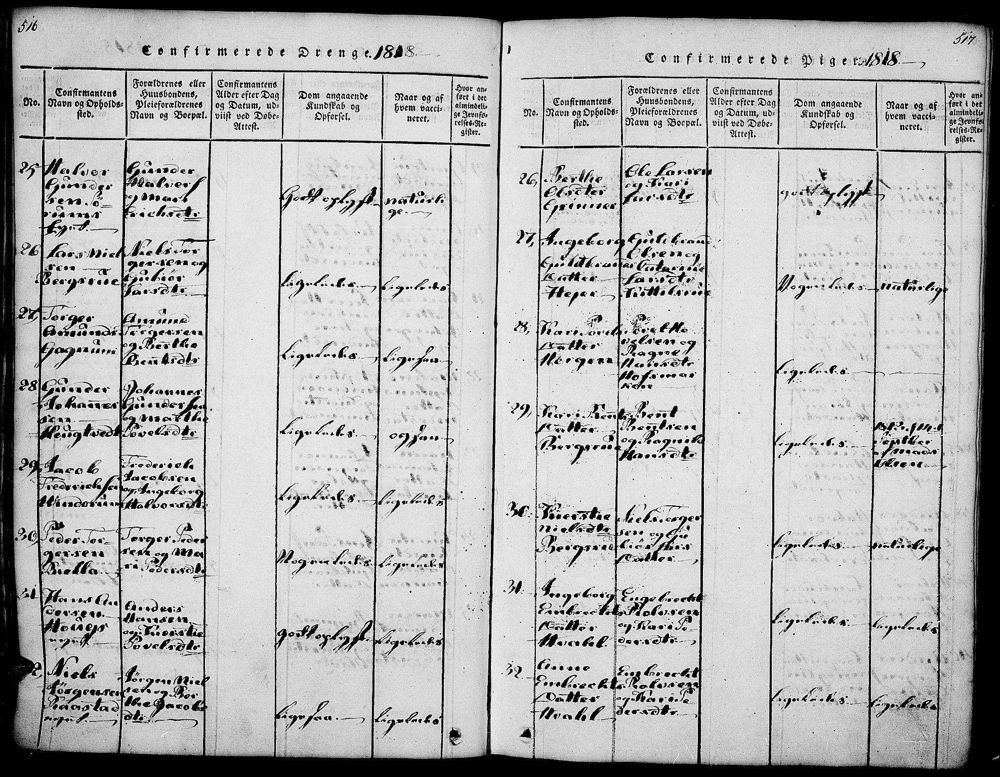 Gran prestekontor, SAH/PREST-112/H/Ha/Haa/L0009: Parish register (official) no. 9, 1815-1824, p. 516-517